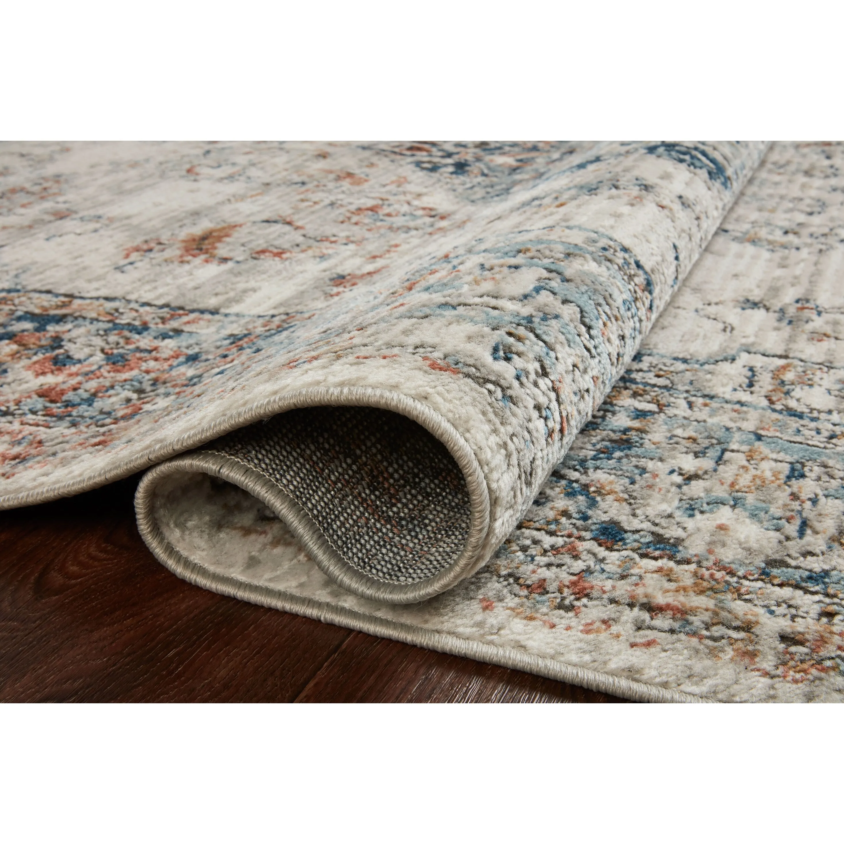 Alexander Home Charlotte Transitional Distressed Medallian Area Rug
