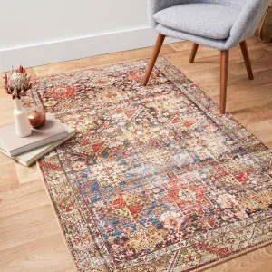 Alexander Home Dhanya Bohemian Distressed Area Rug
