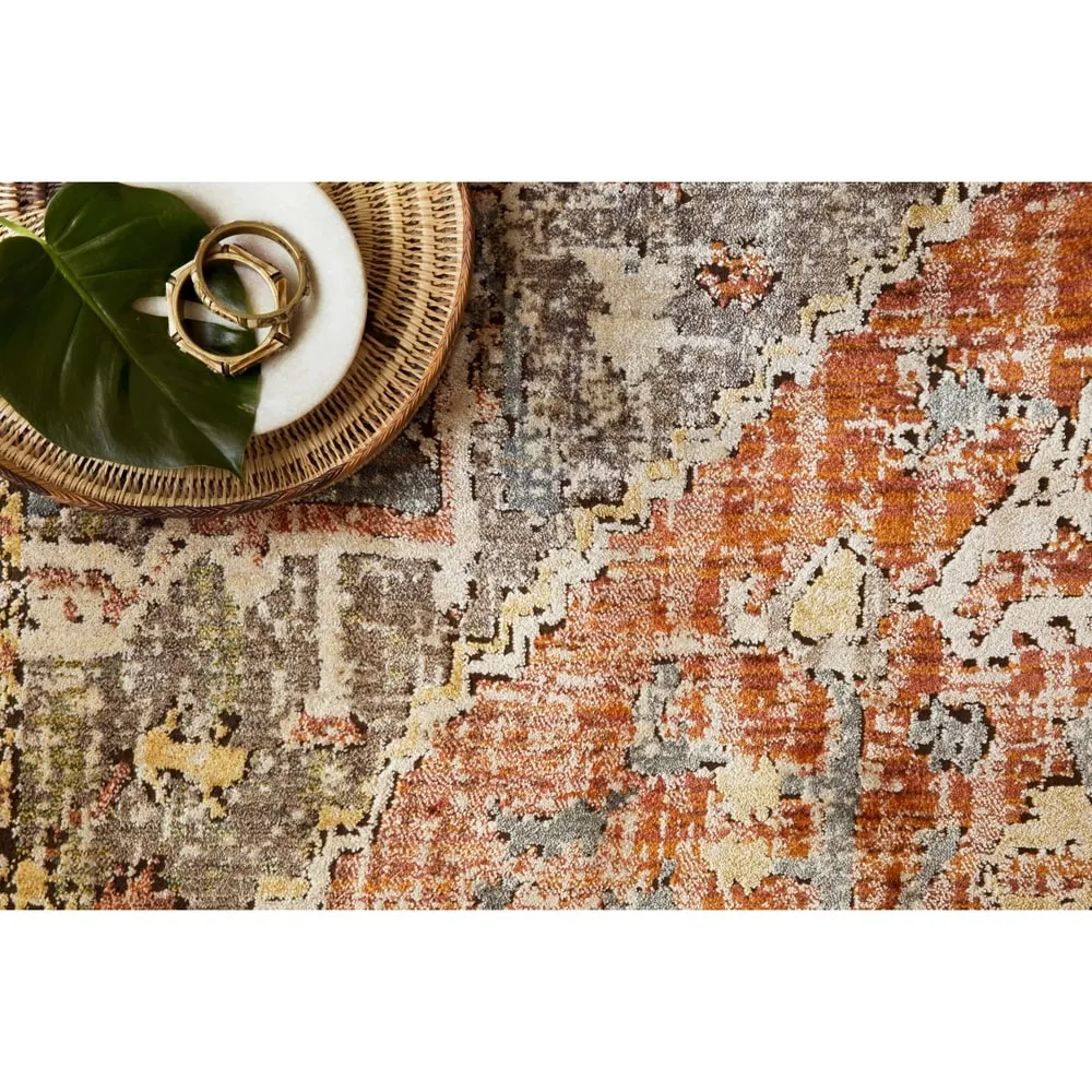 Alexander Home Genova Distressed Medallion Area Rug