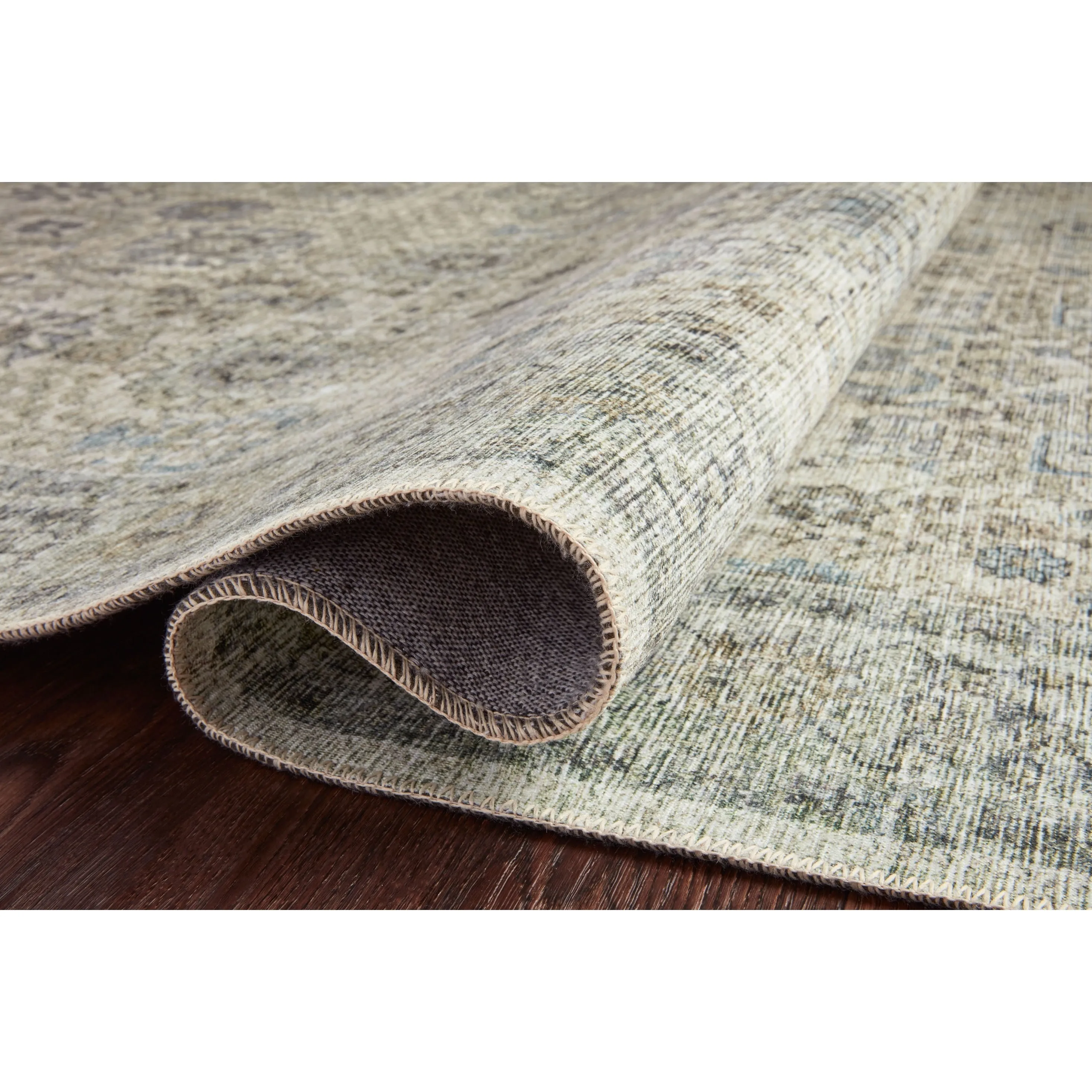 Alexander Home Leanne Printed Botanical Distressed Vintage Area Rug
