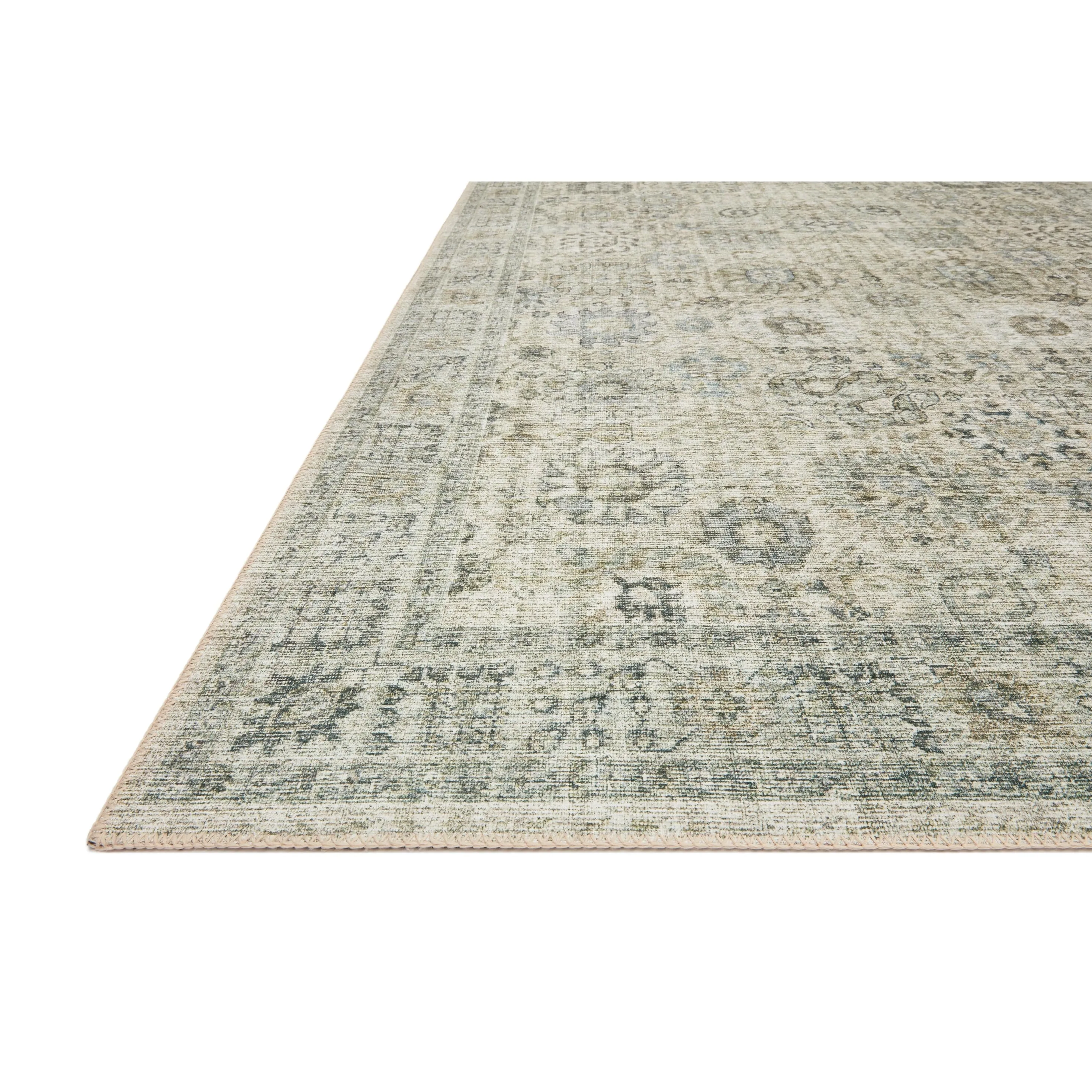 Alexander Home Leanne Printed Botanical Distressed Vintage Area Rug
