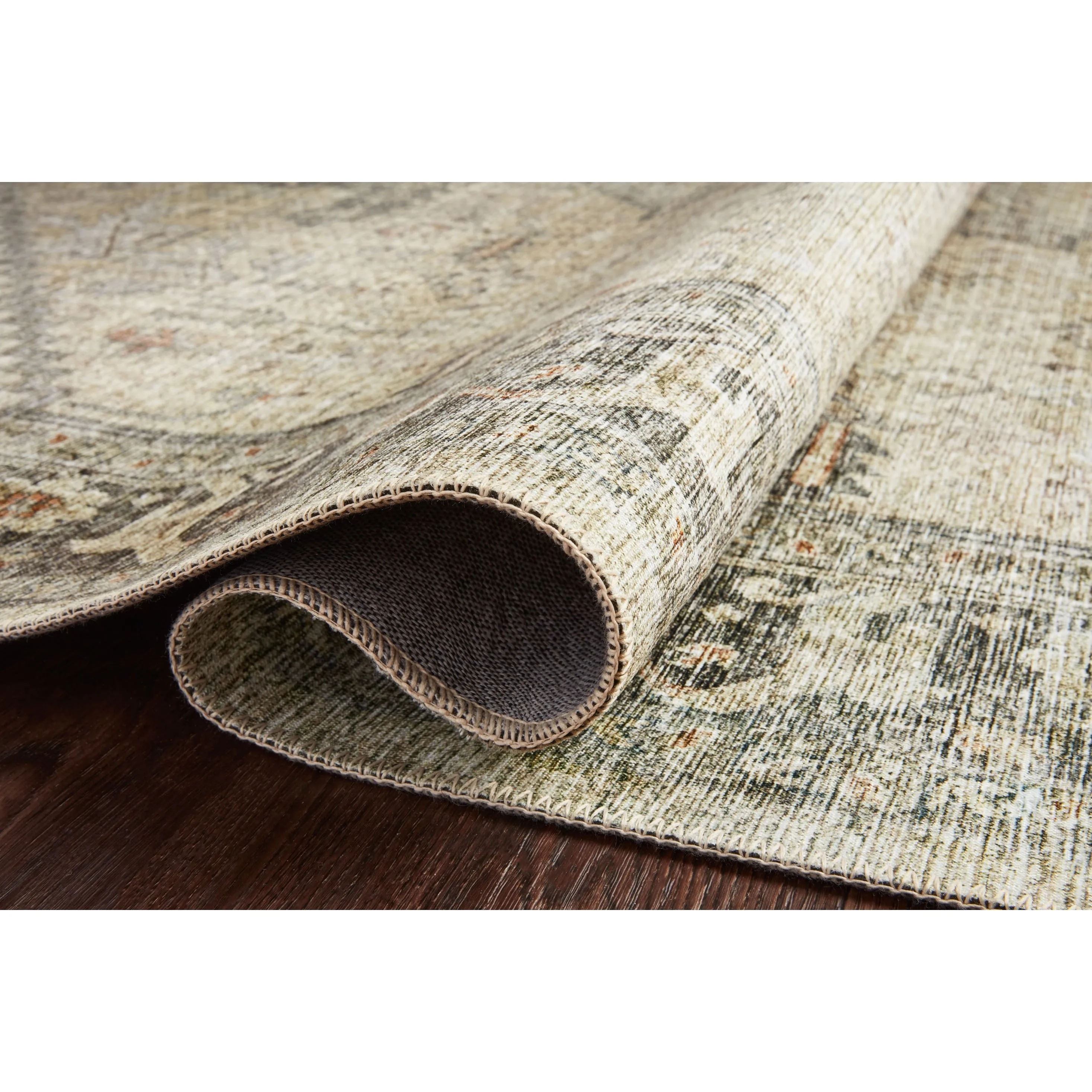 Alexander Home Leanne Printed Persian Distressed Vintage Area Rug