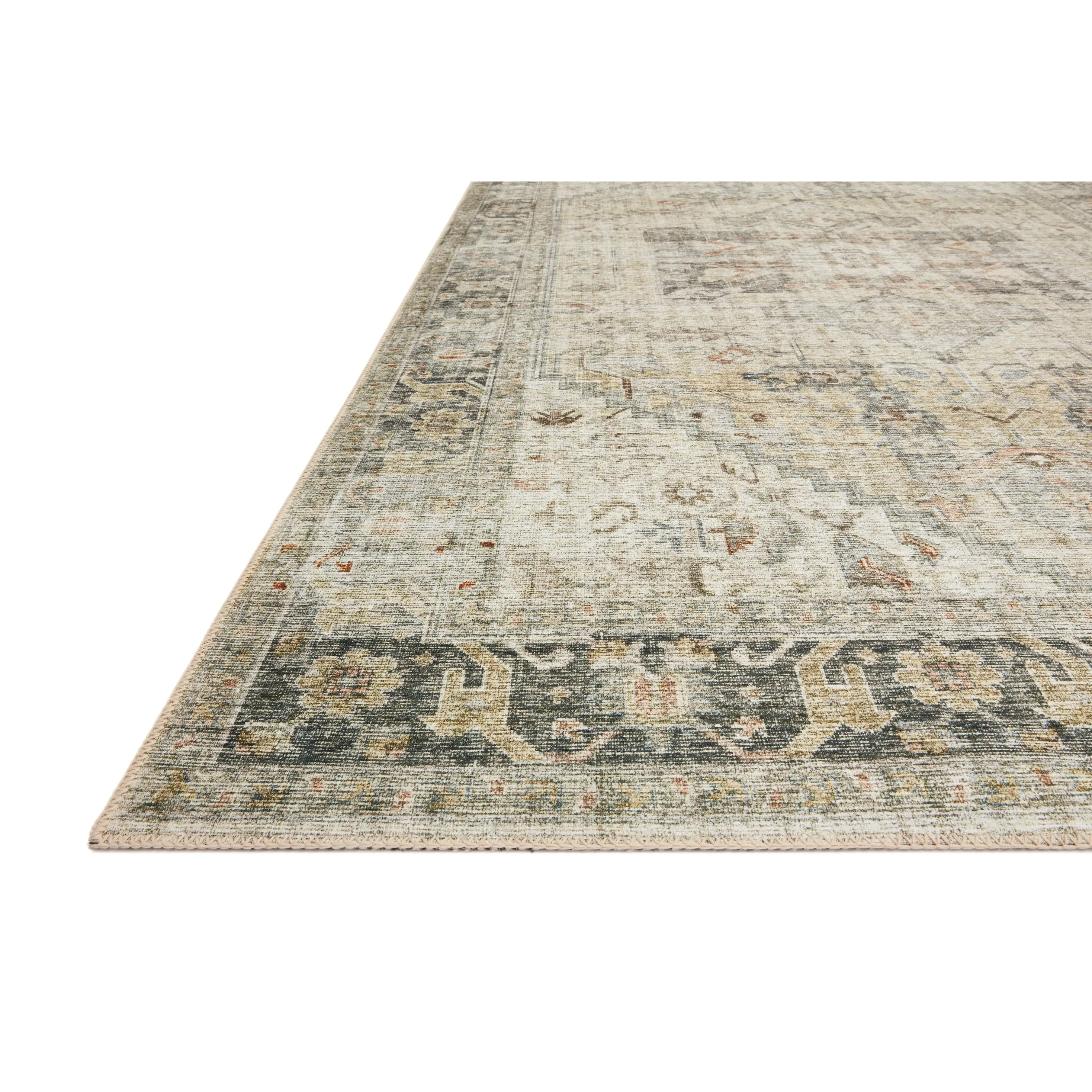 Alexander Home Leanne Printed Persian Distressed Vintage Area Rug
