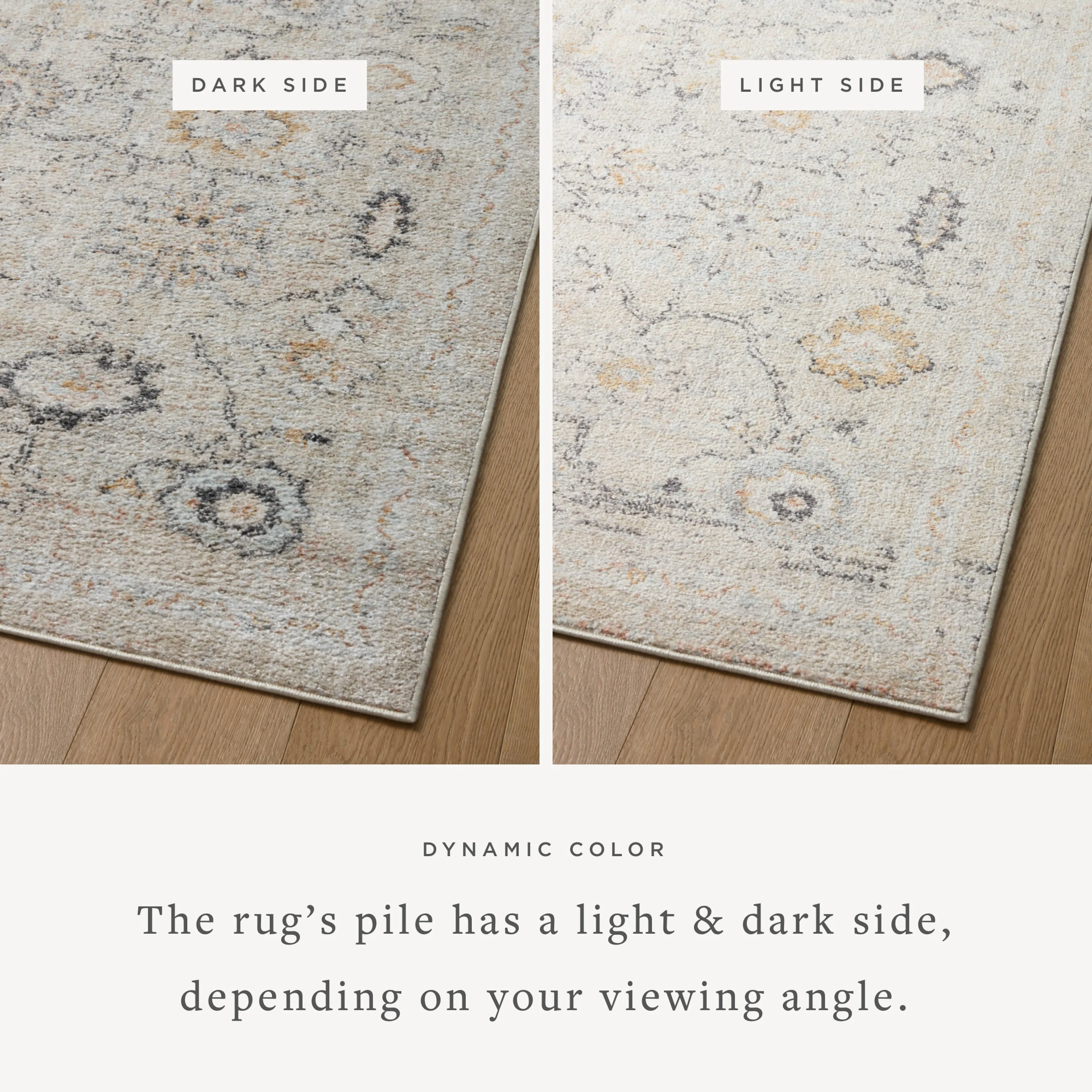 Alexander Home Marilyn Botanical Oriental Area Rug