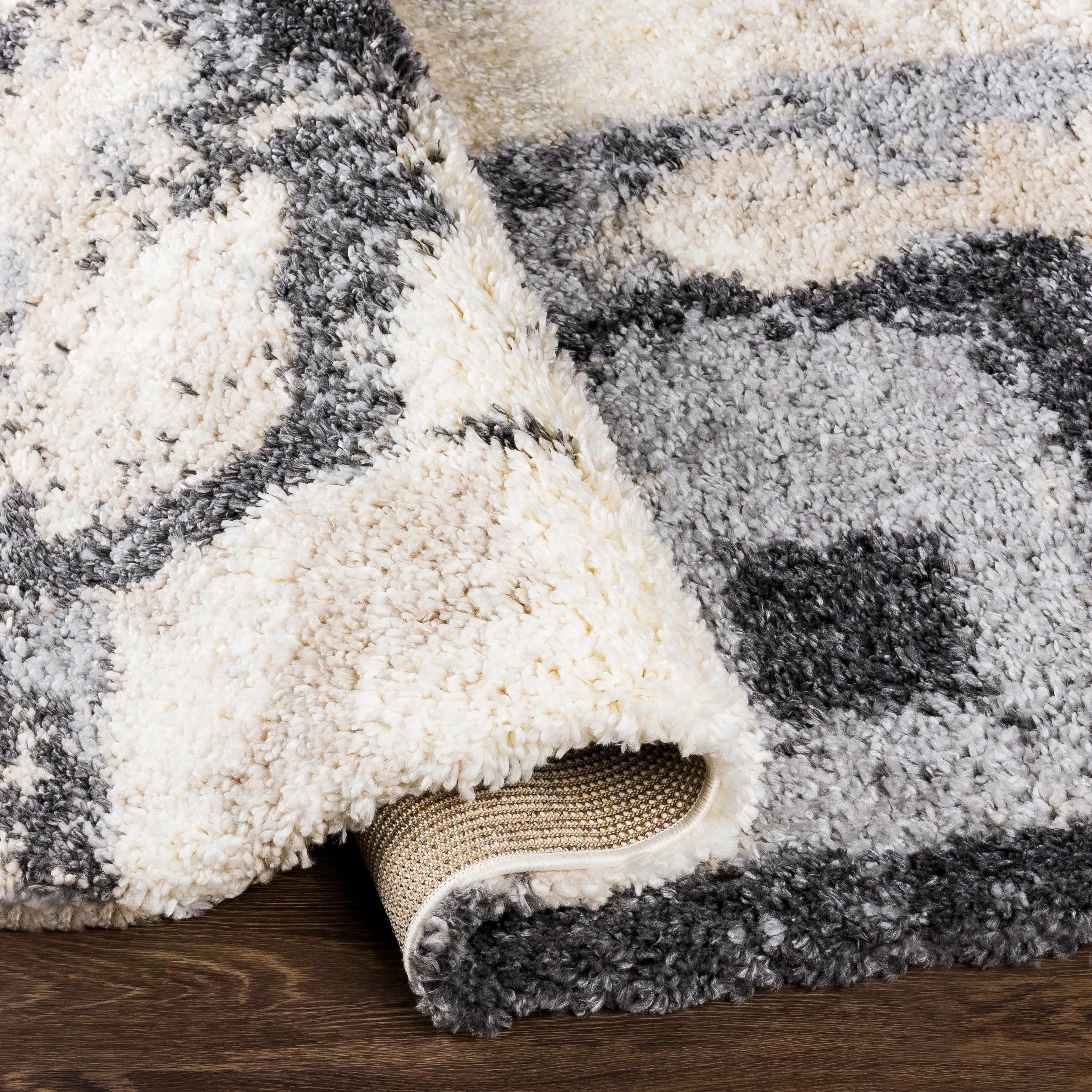 Artistic Weavers Aquino Modern Shag Rug