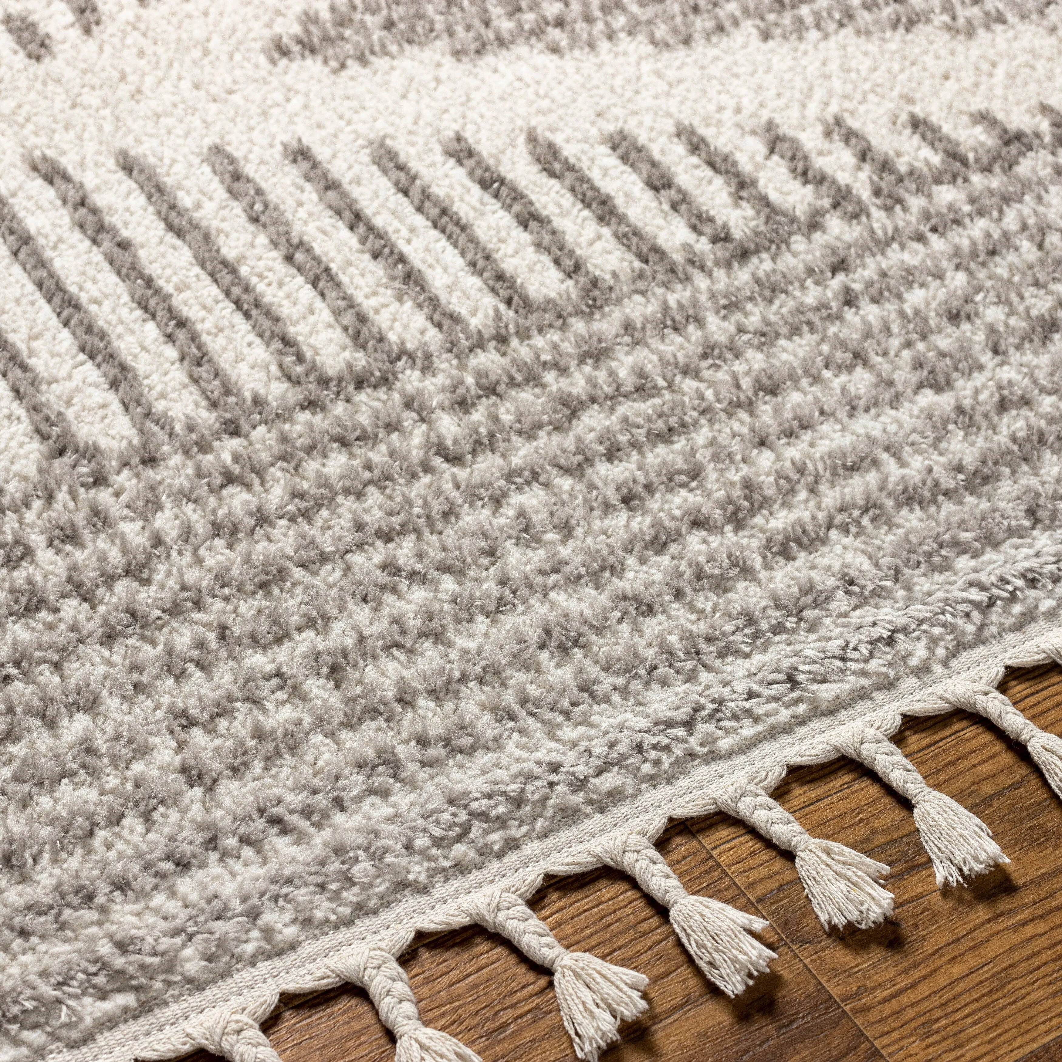 Artistic Weavers Homeros Bohemian Geometric Textured Area Rug
