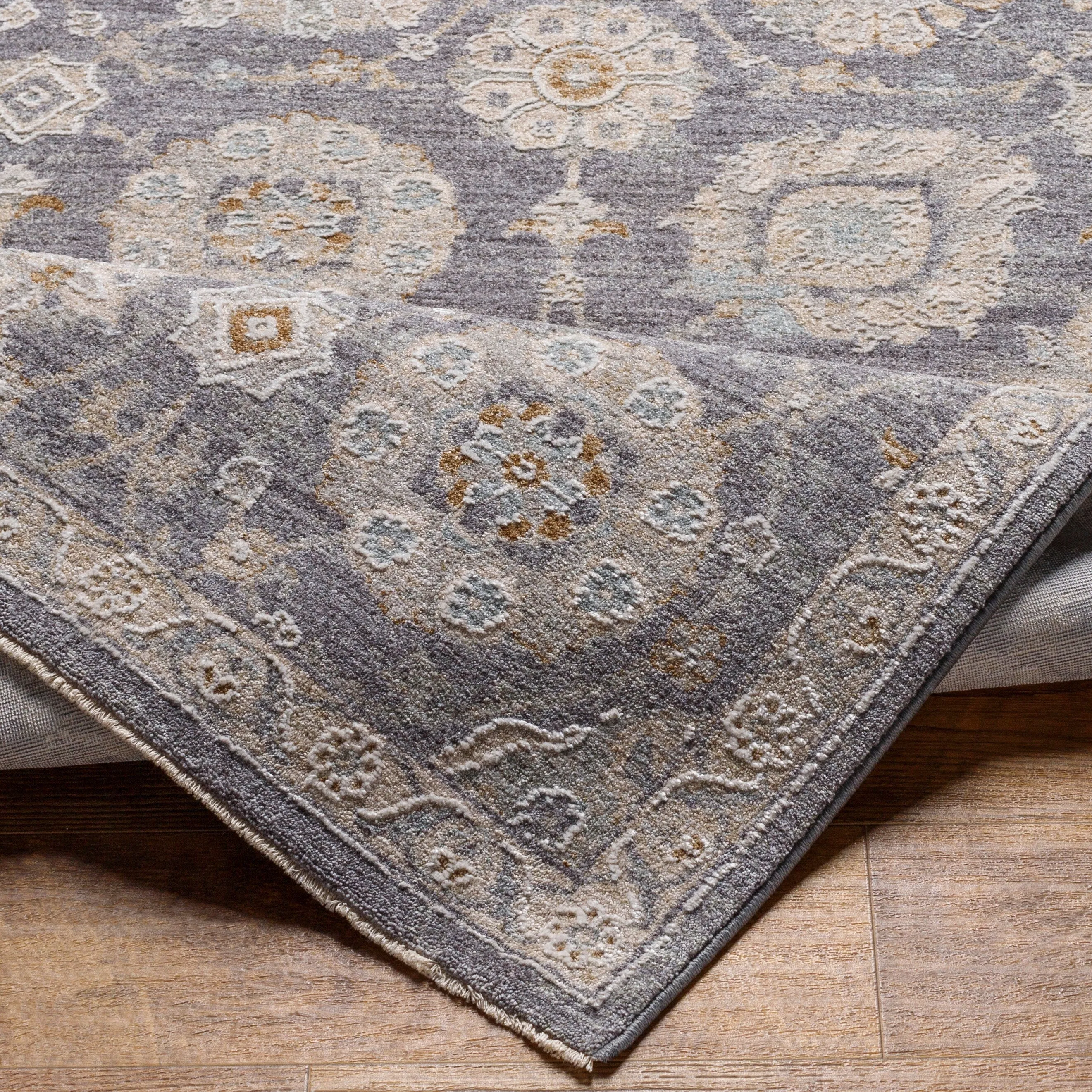 Artistic Weavers Pashe Vintage Distressed Area Rug