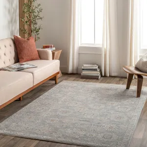 Artistic Weavers Pashe Vintage Distressed Area Rug