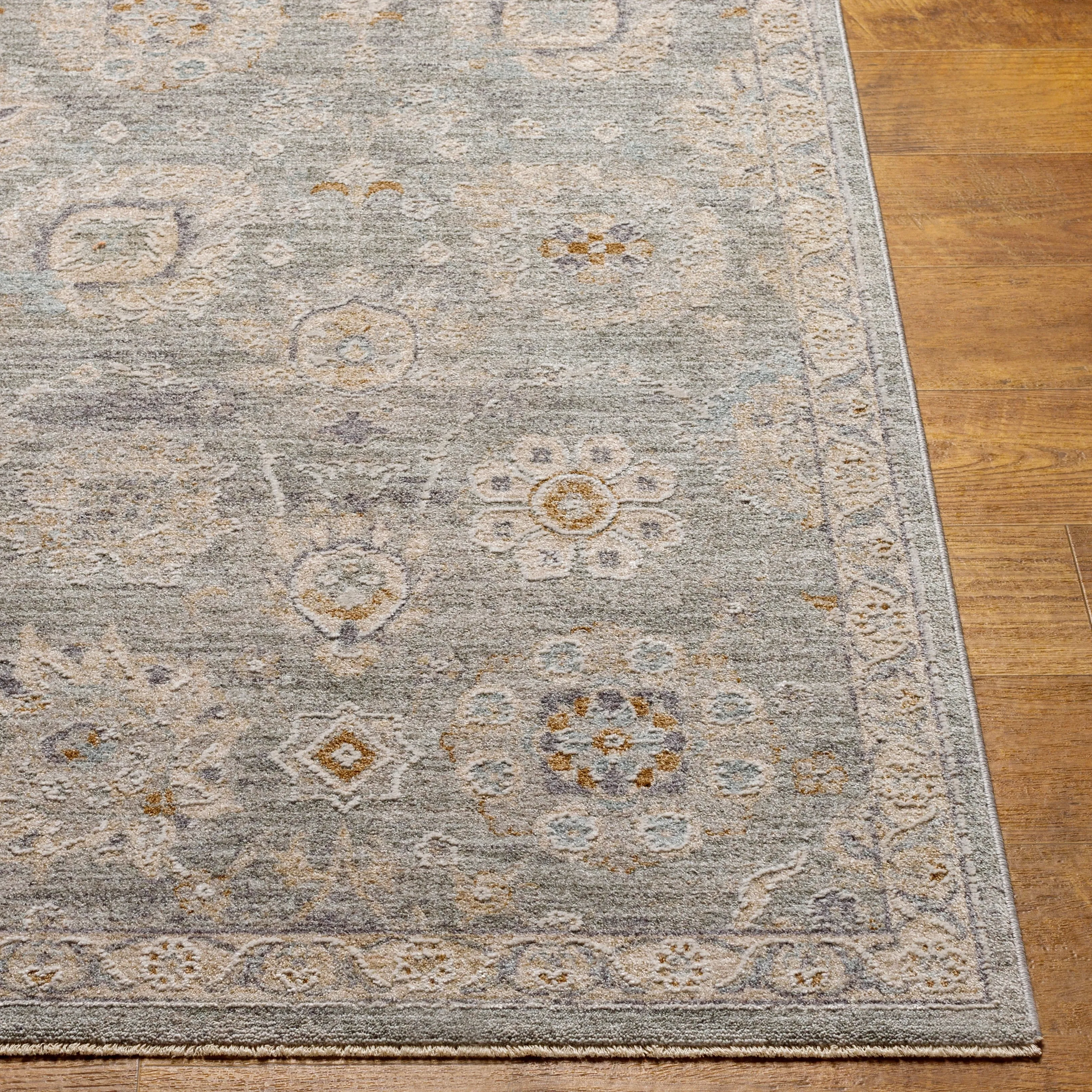 Artistic Weavers Pashe Vintage Distressed Area Rug