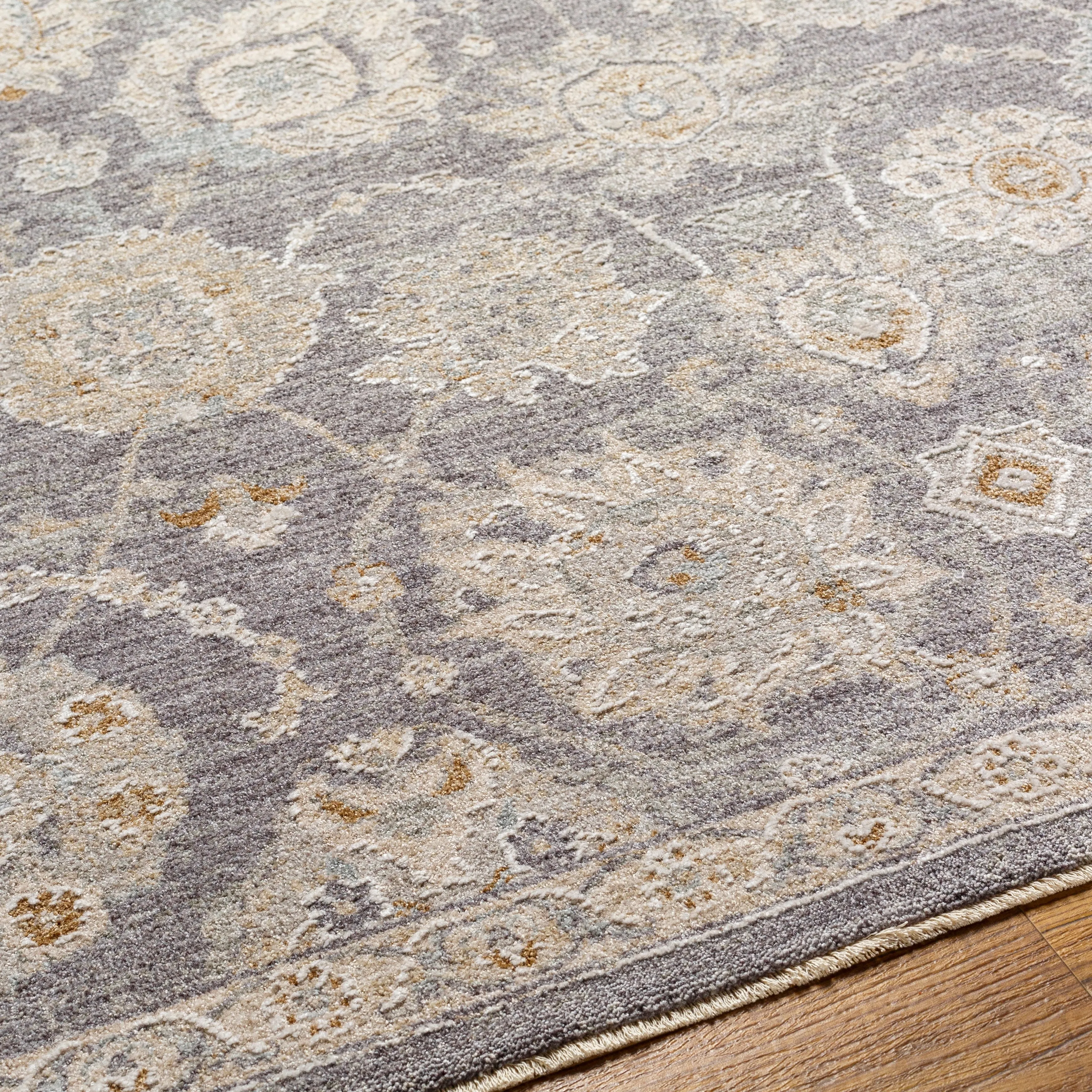 Artistic Weavers Pashe Vintage Distressed Area Rug