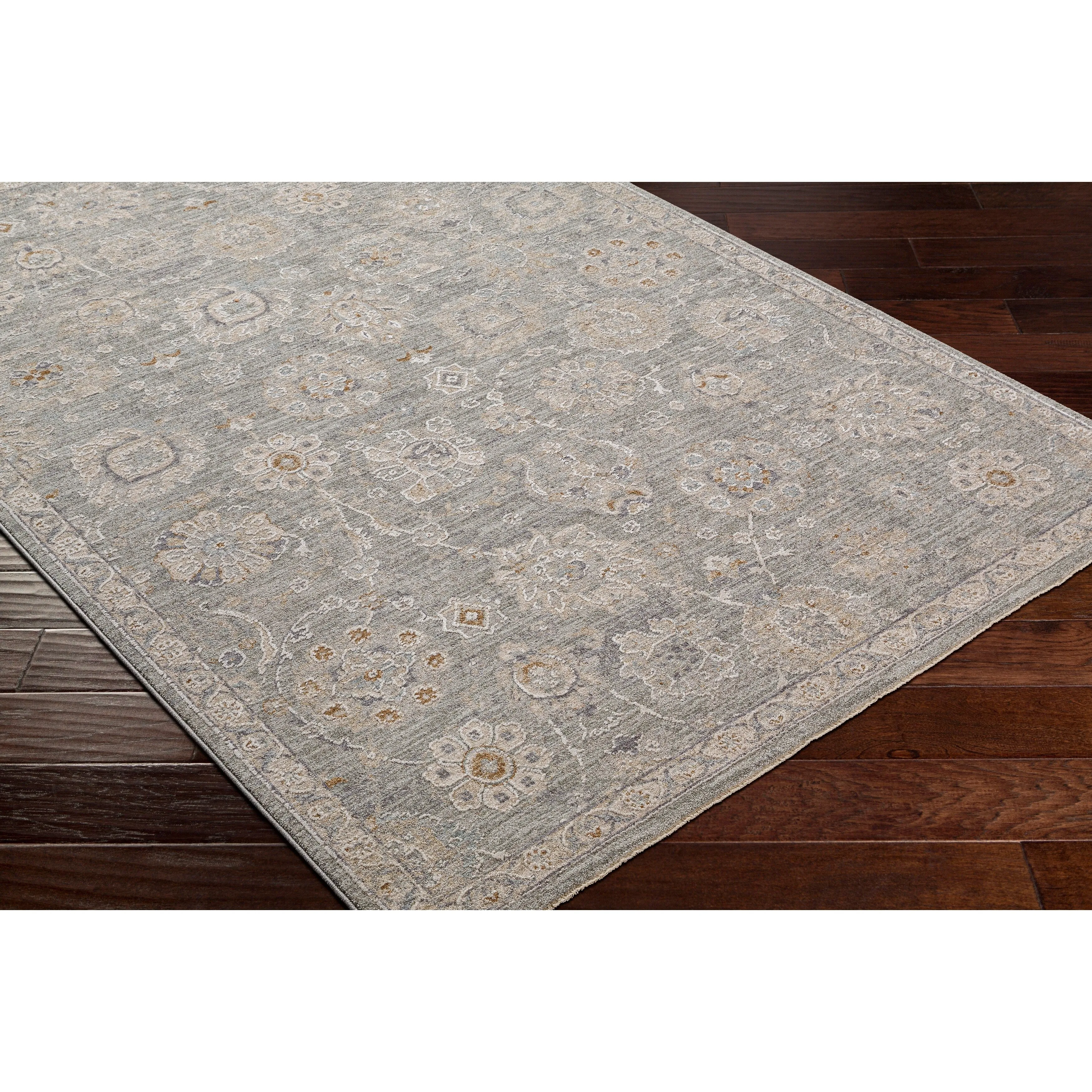 Artistic Weavers Pashe Vintage Distressed Area Rug