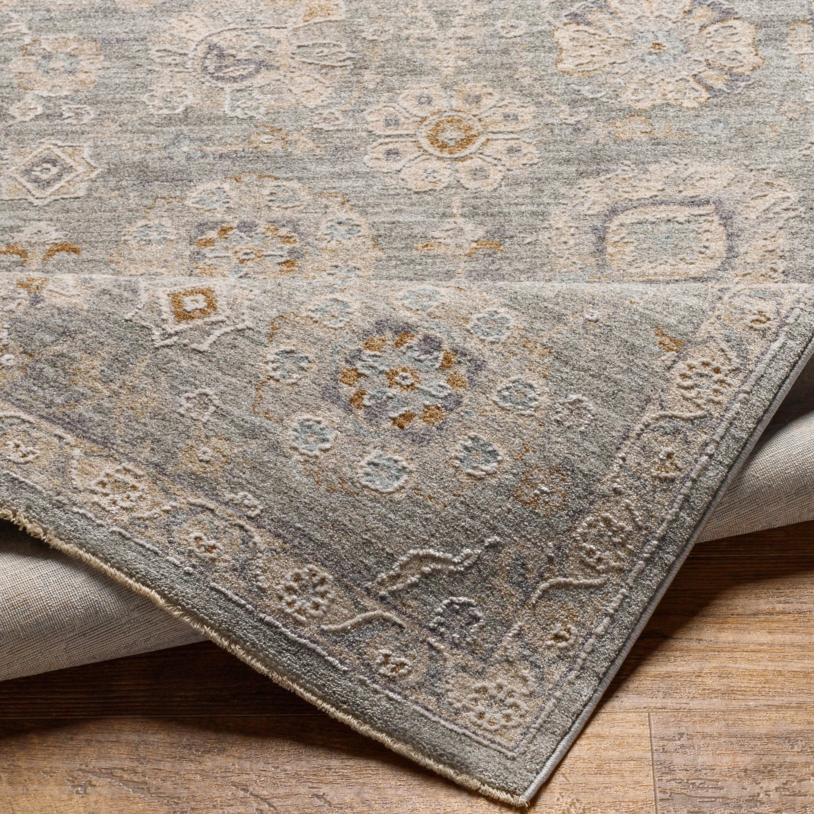 Artistic Weavers Pashe Vintage Distressed Area Rug