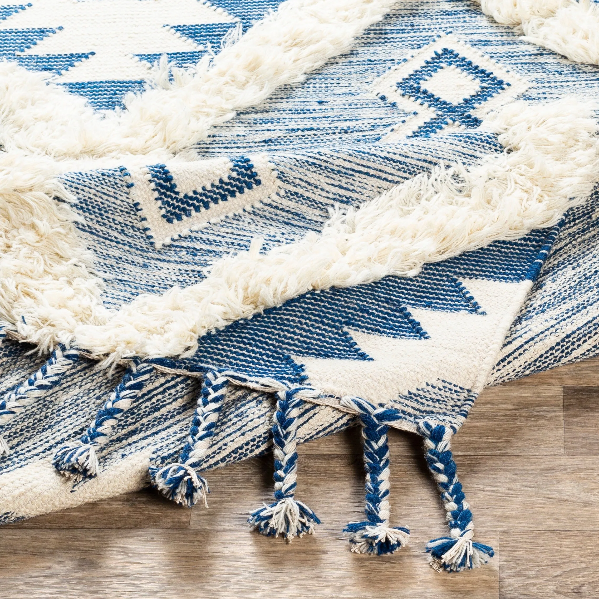 Artistic Weavers Topanga Handmade Wool Scandinavian Tassel Area Rug