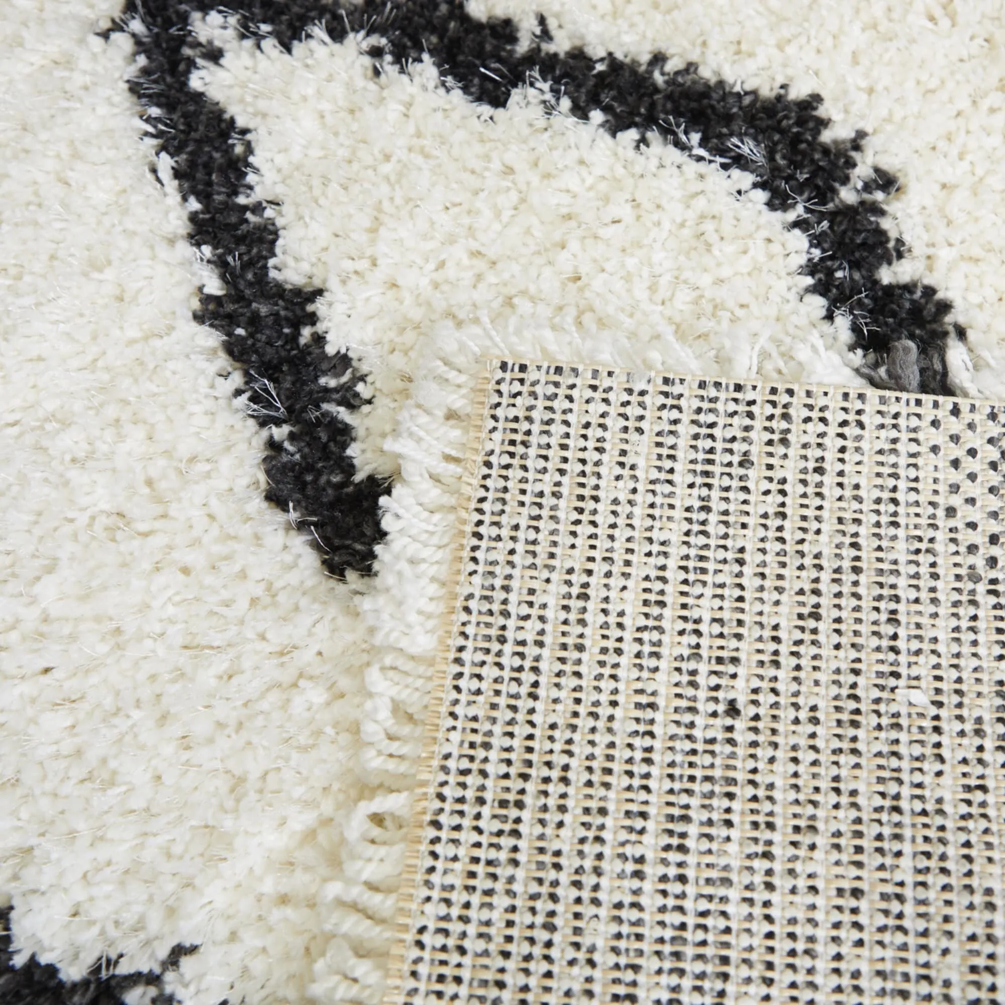Avram Modern Trellis Shag Area Rug