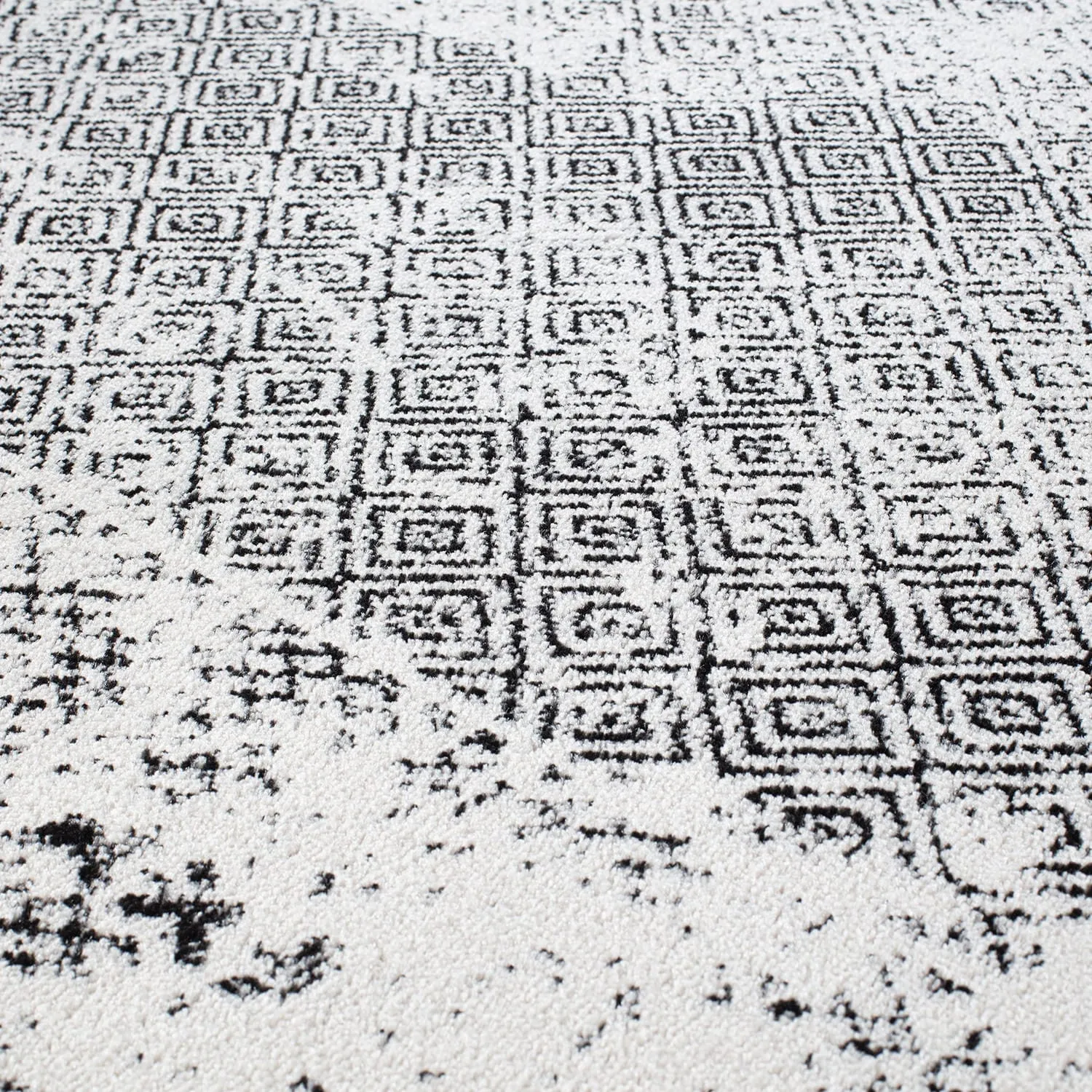 Bohemian Distressed Border Area Rug