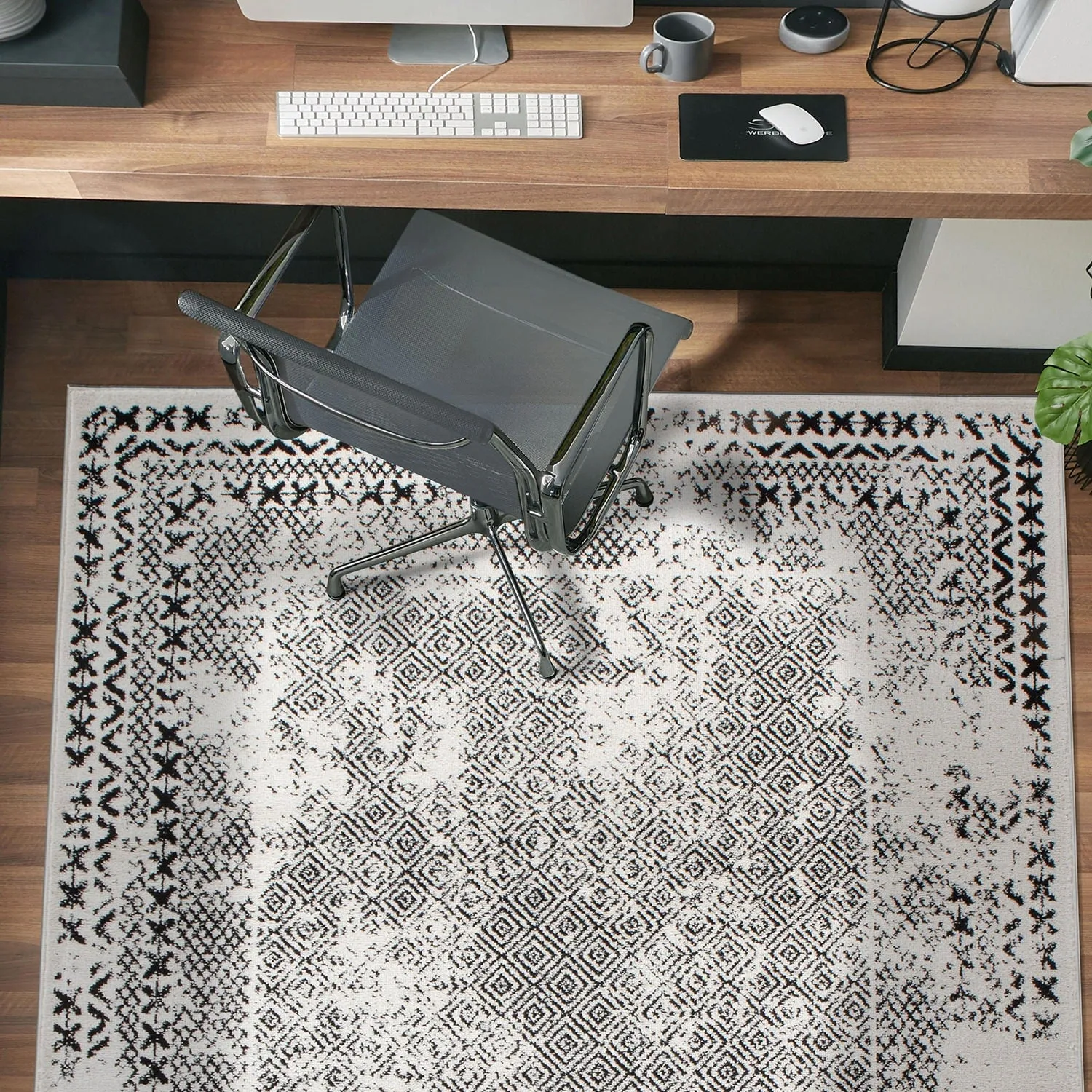 Bohemian Distressed Border Area Rug