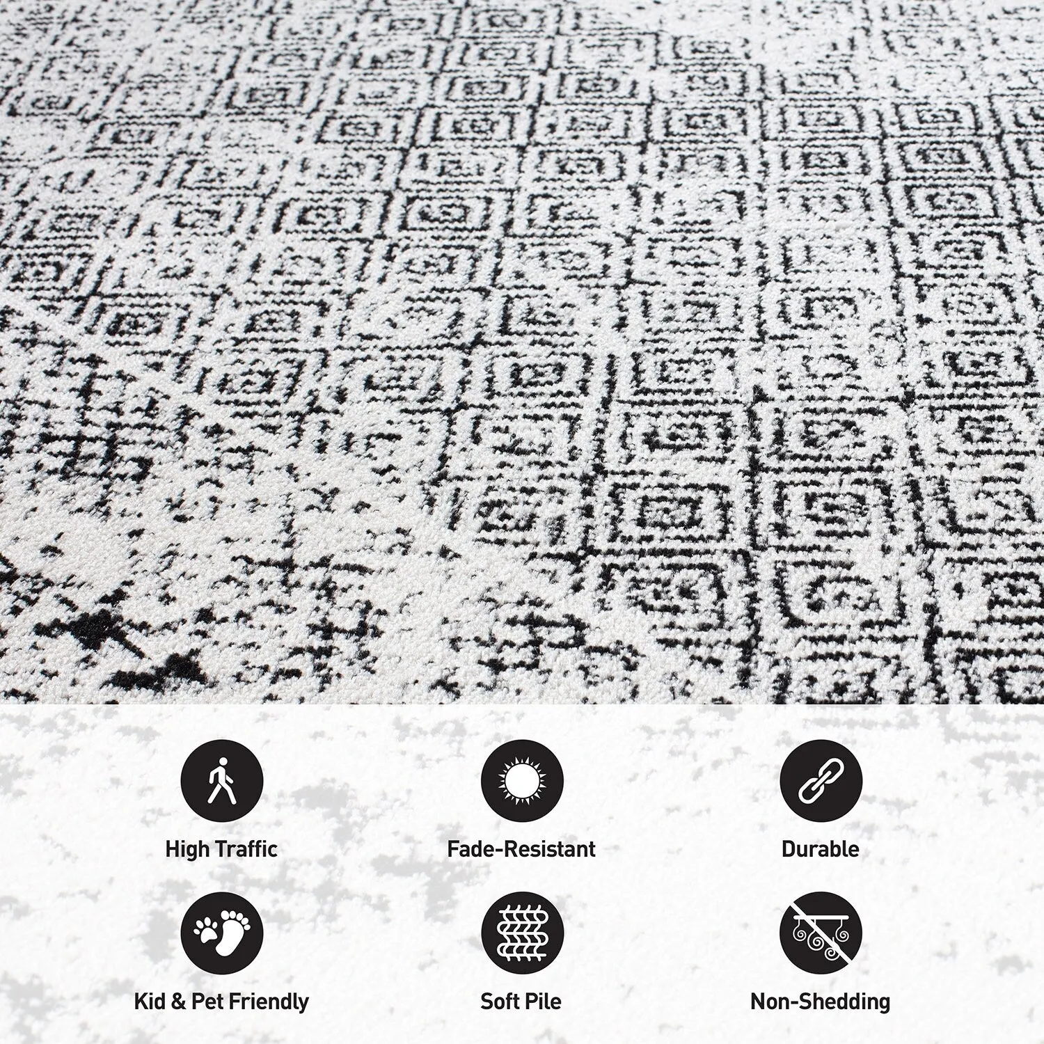 Bohemian Distressed Border Area Rug