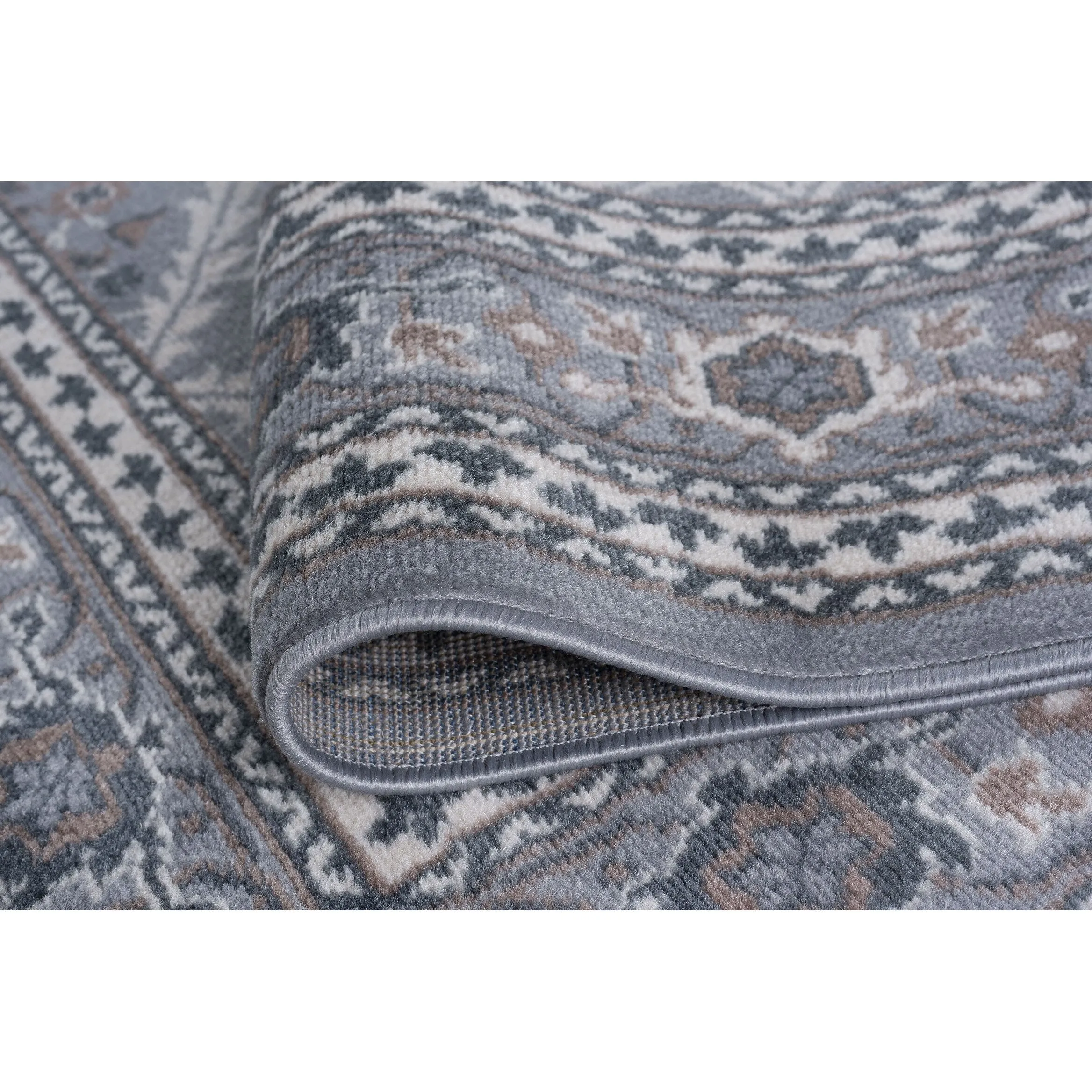 Carrington Traditional Oriental Indoor Area Rug