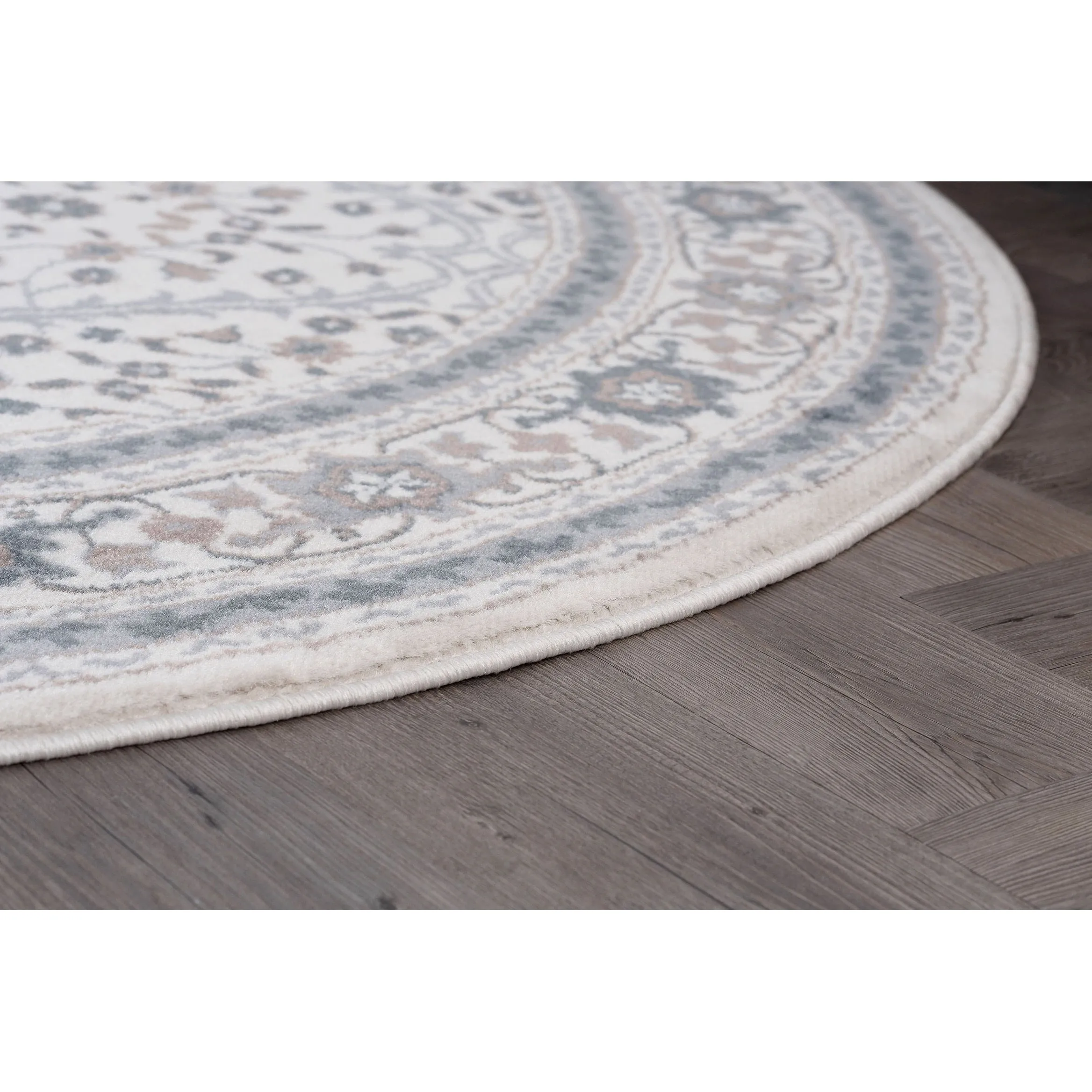 Carrington Traditional Oriental Indoor Area Rug