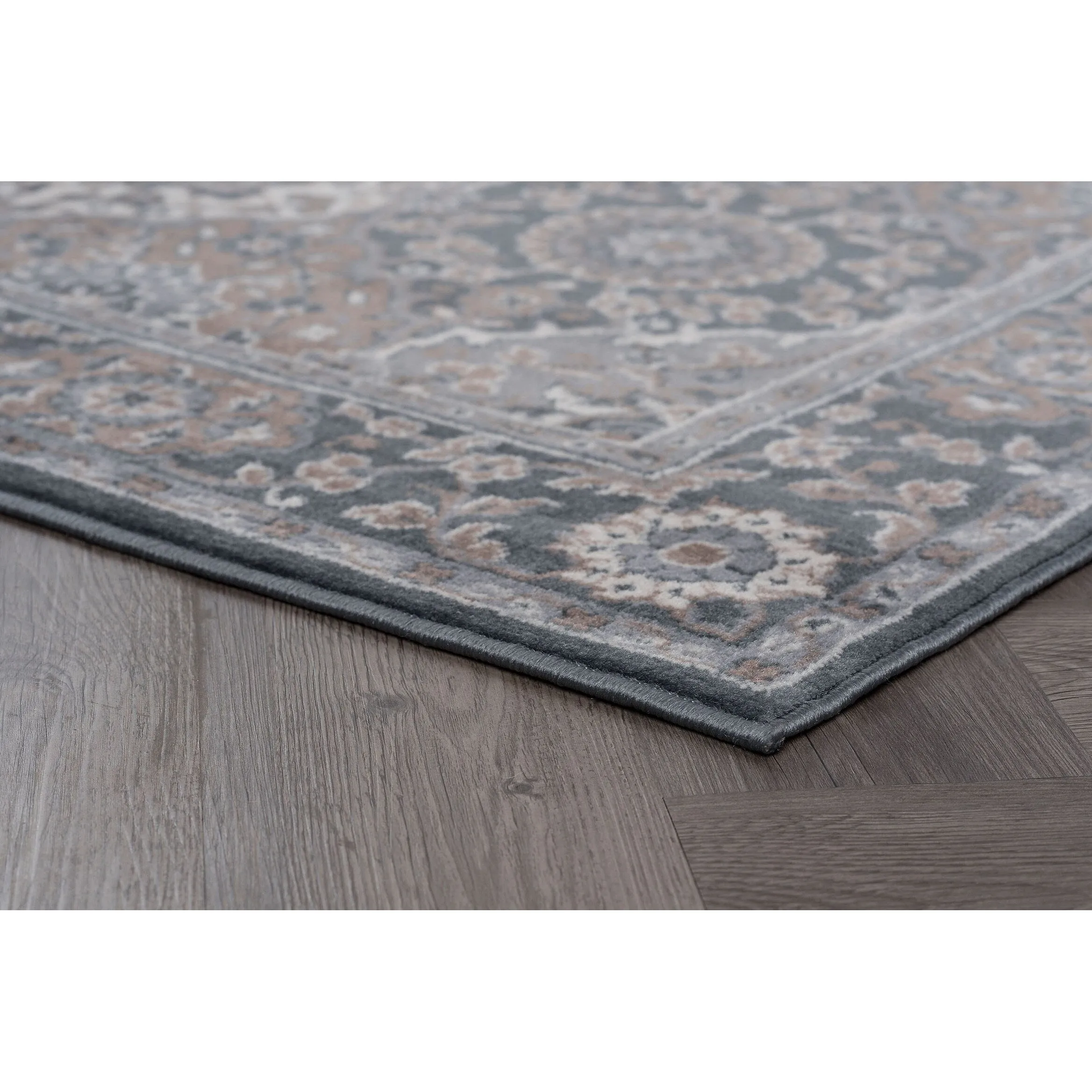 Carrington Traditional Oriental Indoor Area Rug