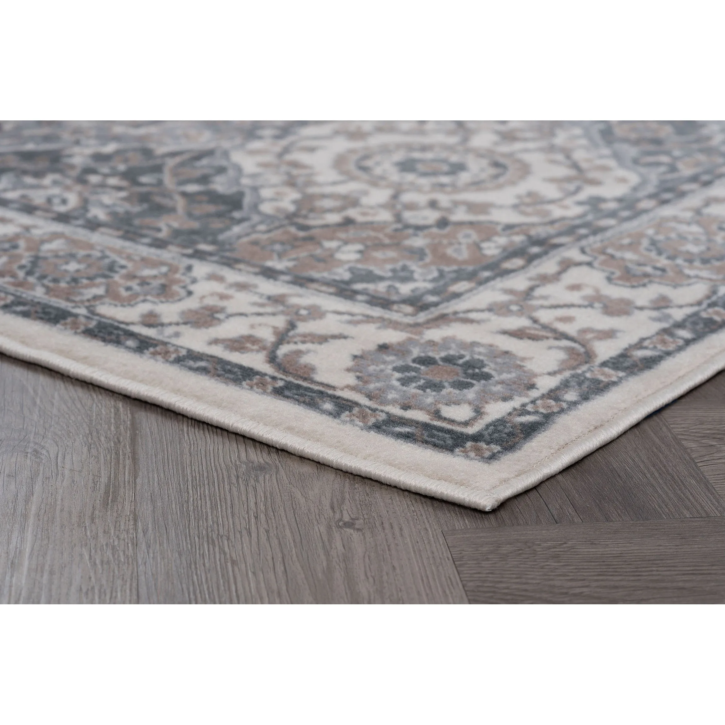 Carrington Traditional Oriental Indoor Area Rug