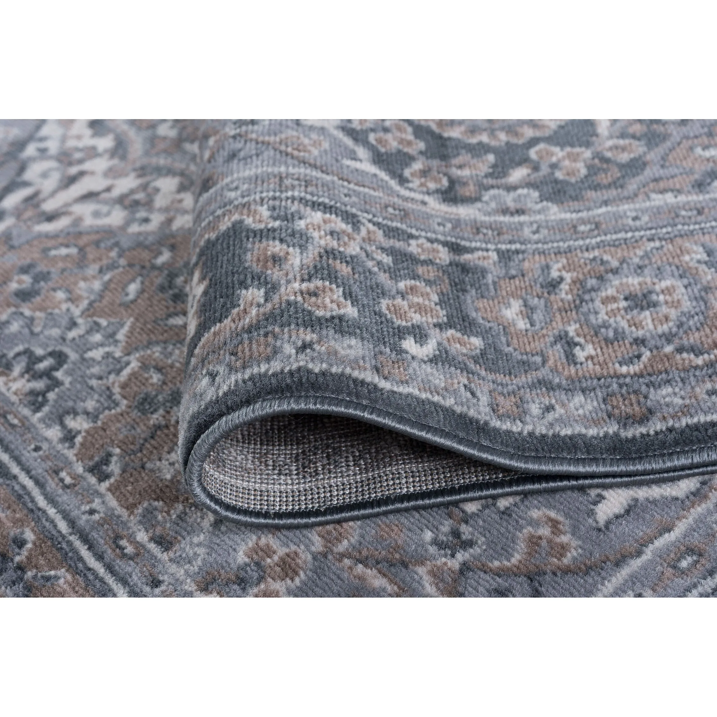 Carrington Traditional Oriental Indoor Area Rug