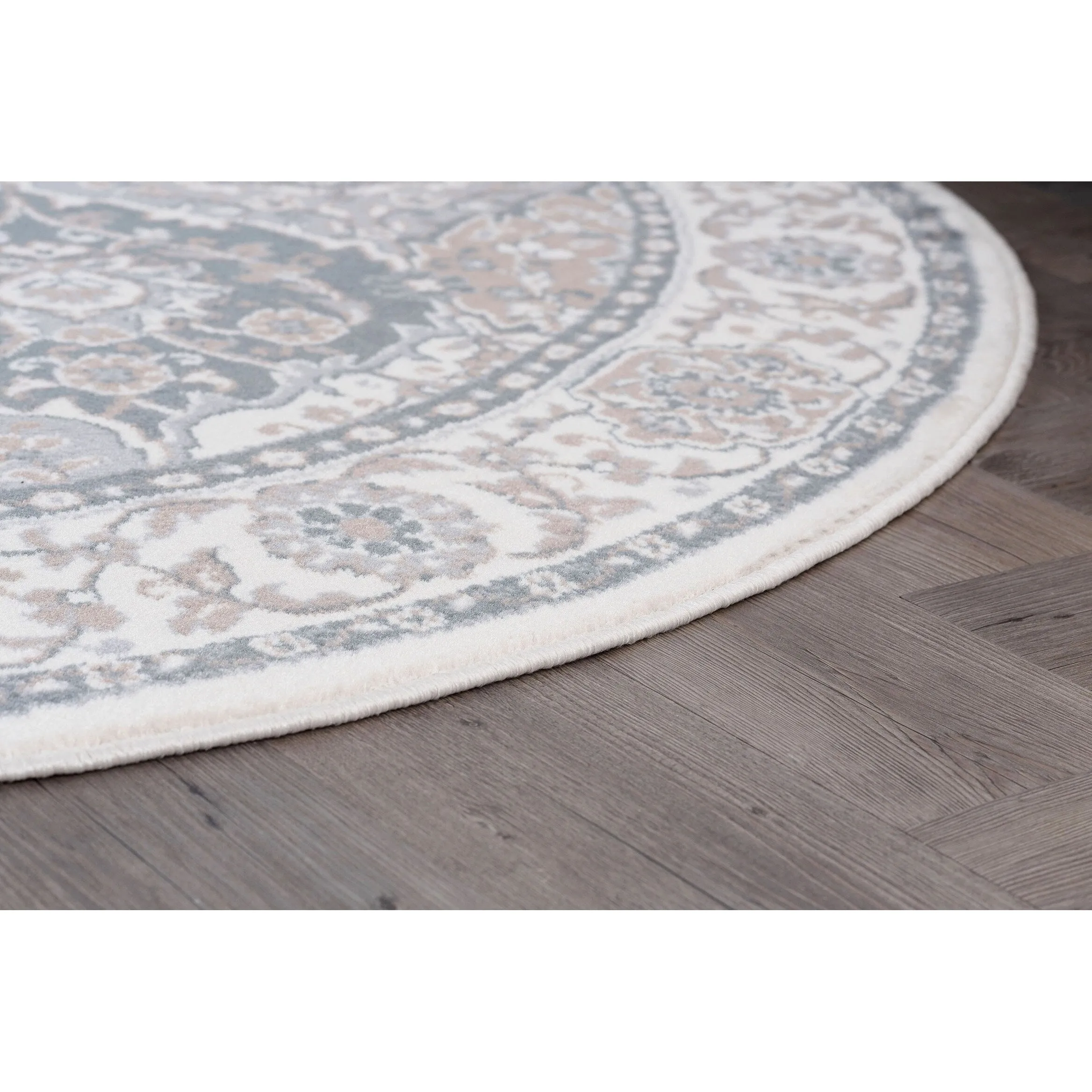 Carrington Traditional Oriental Indoor Area Rug