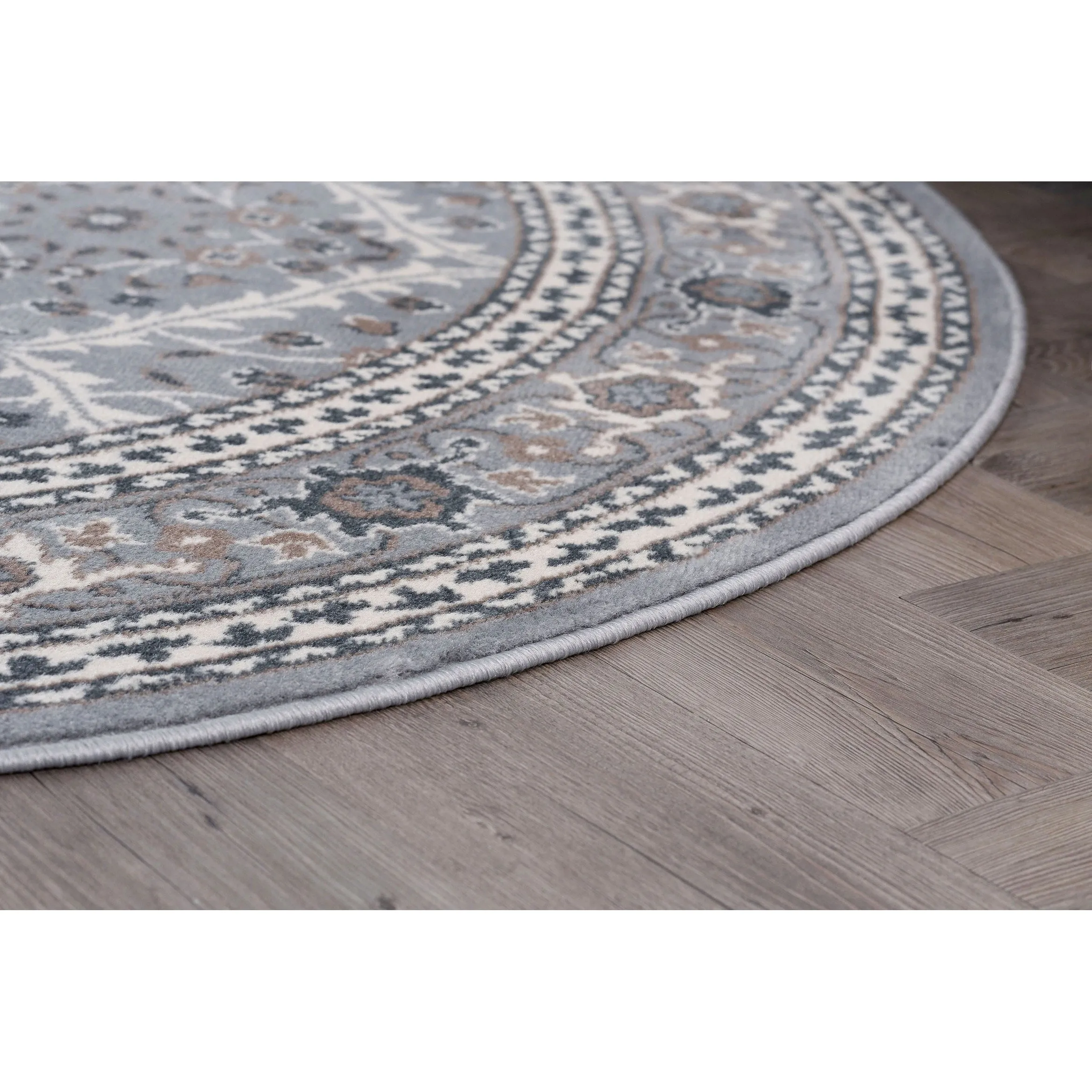 Carrington Traditional Oriental Indoor Area Rug