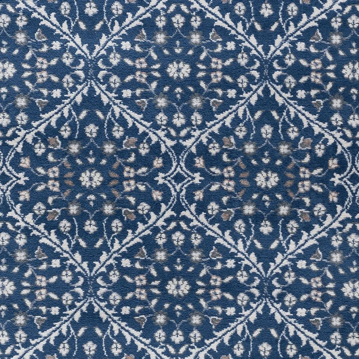 Carrington Traditional Oriental Indoor Area Rug