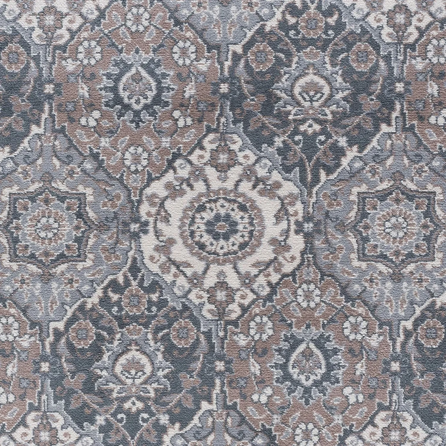 Carrington Traditional Oriental Indoor Area Rug