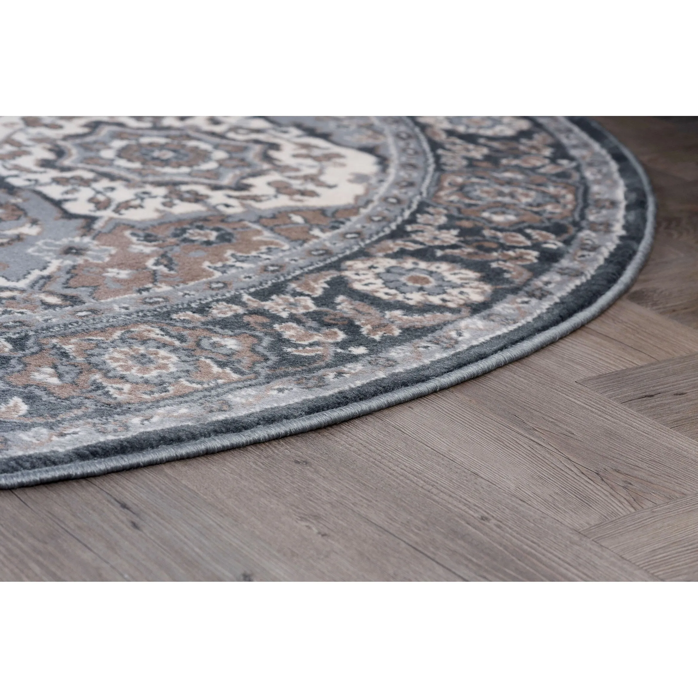 Carrington Traditional Oriental Indoor Area Rug