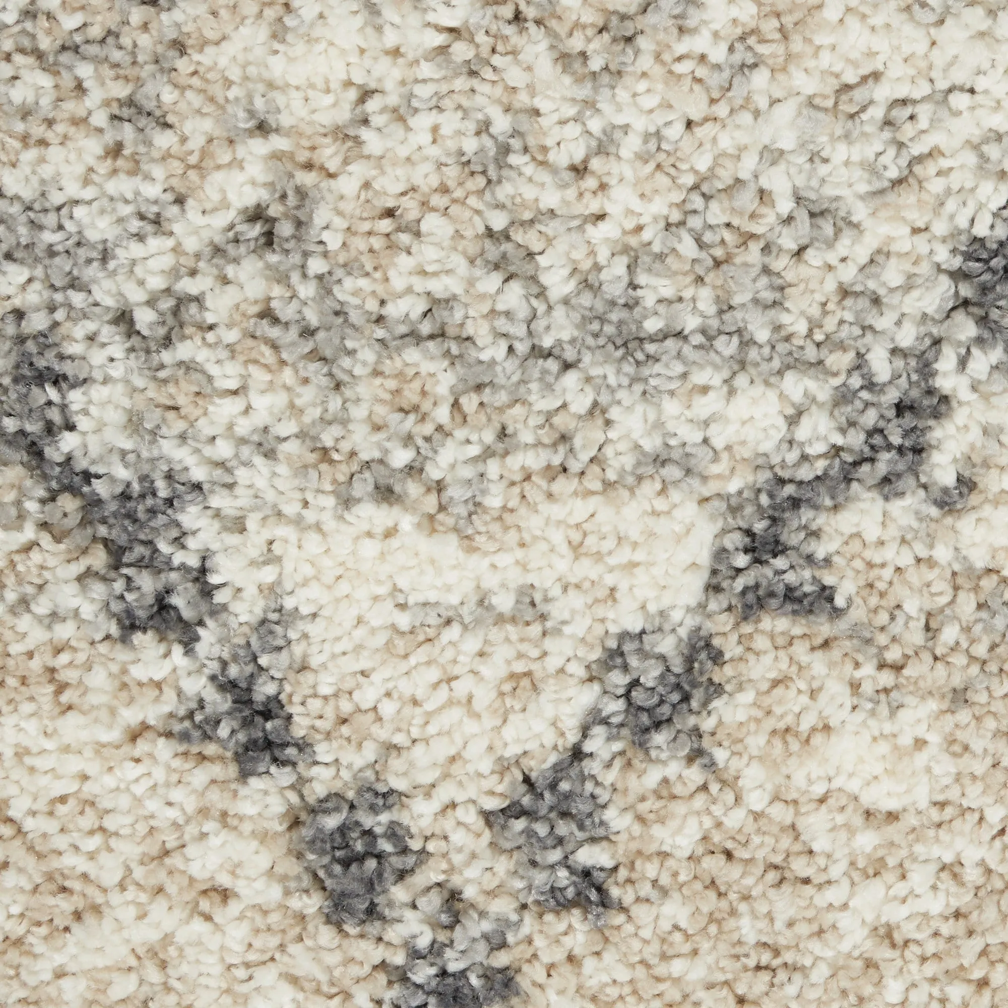 Carson Carrington Hjaltaryd Trellis Shag Area Rug