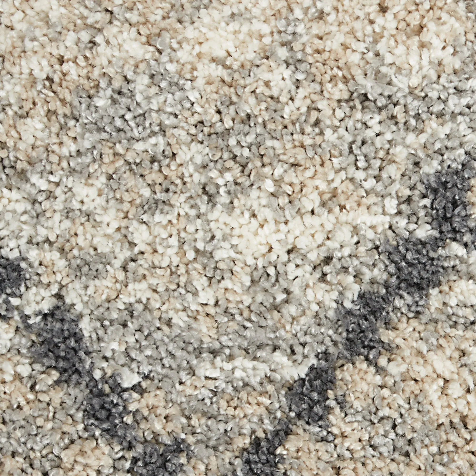 Carson Carrington Hjaltaryd Trellis Shag Area Rug