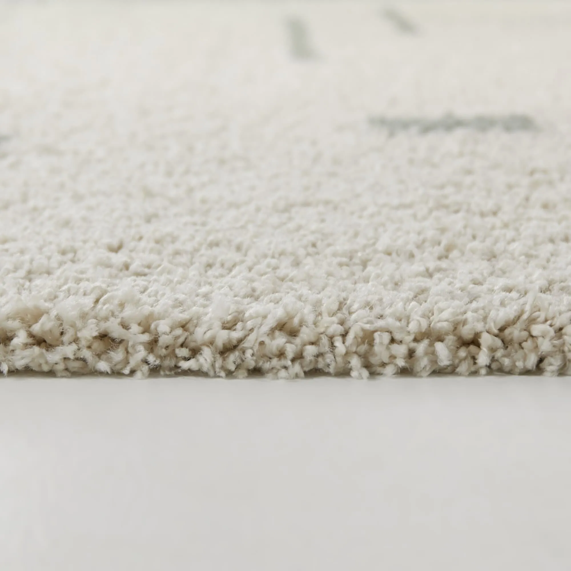Carson Shag Area Rug