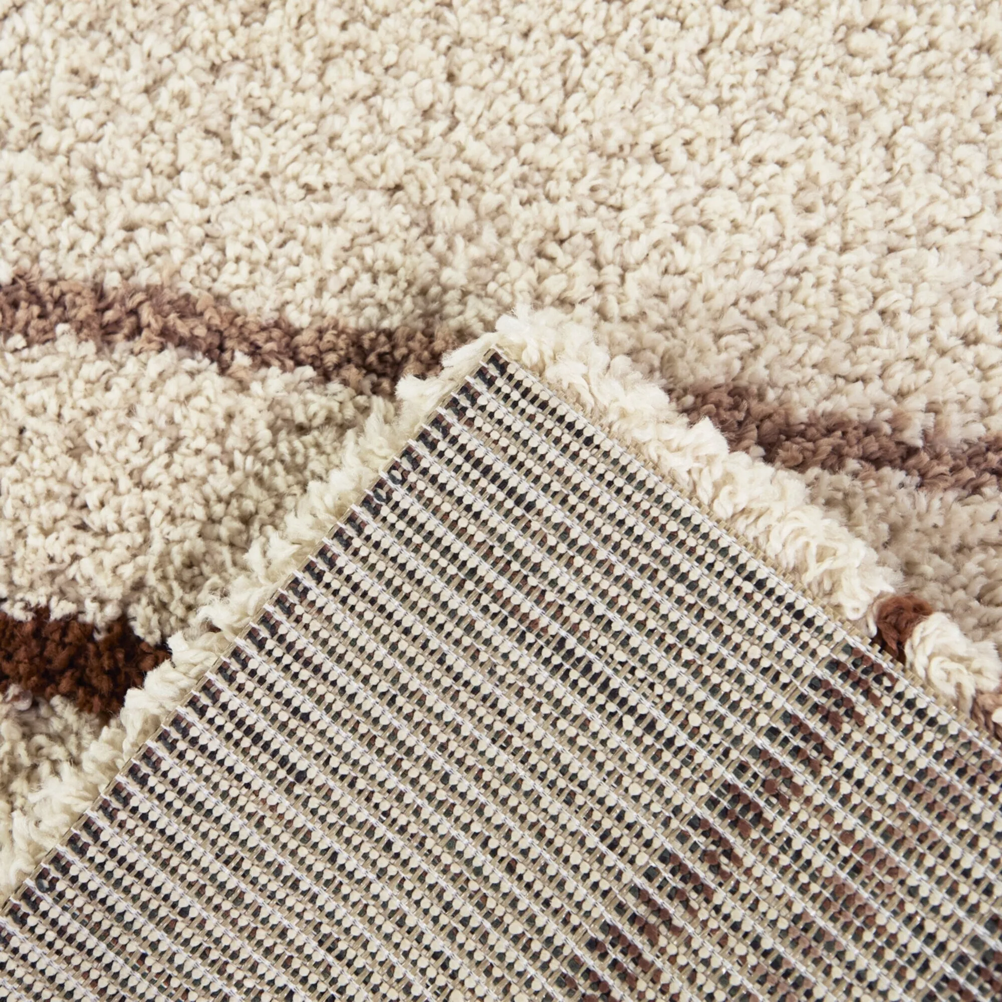 Carson Shag Area Rug