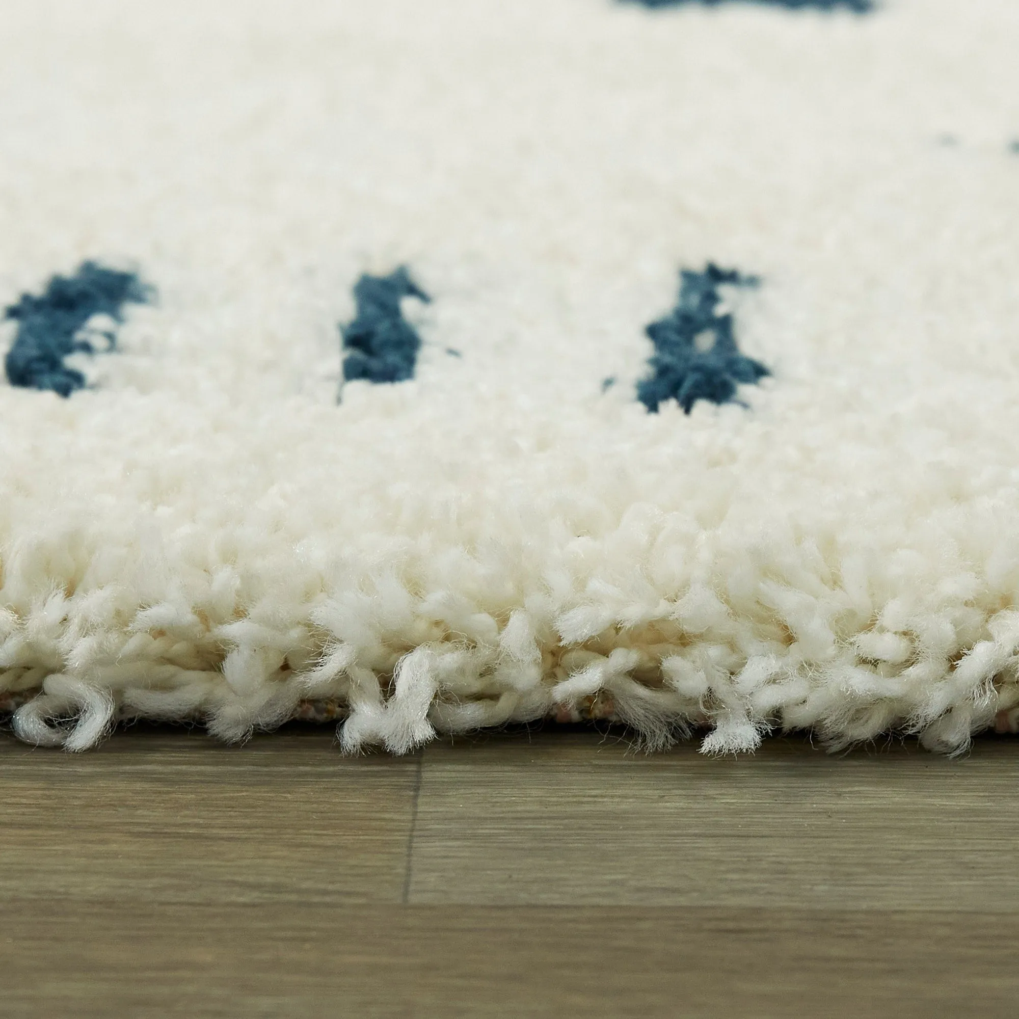 Carson Shag Area Rug