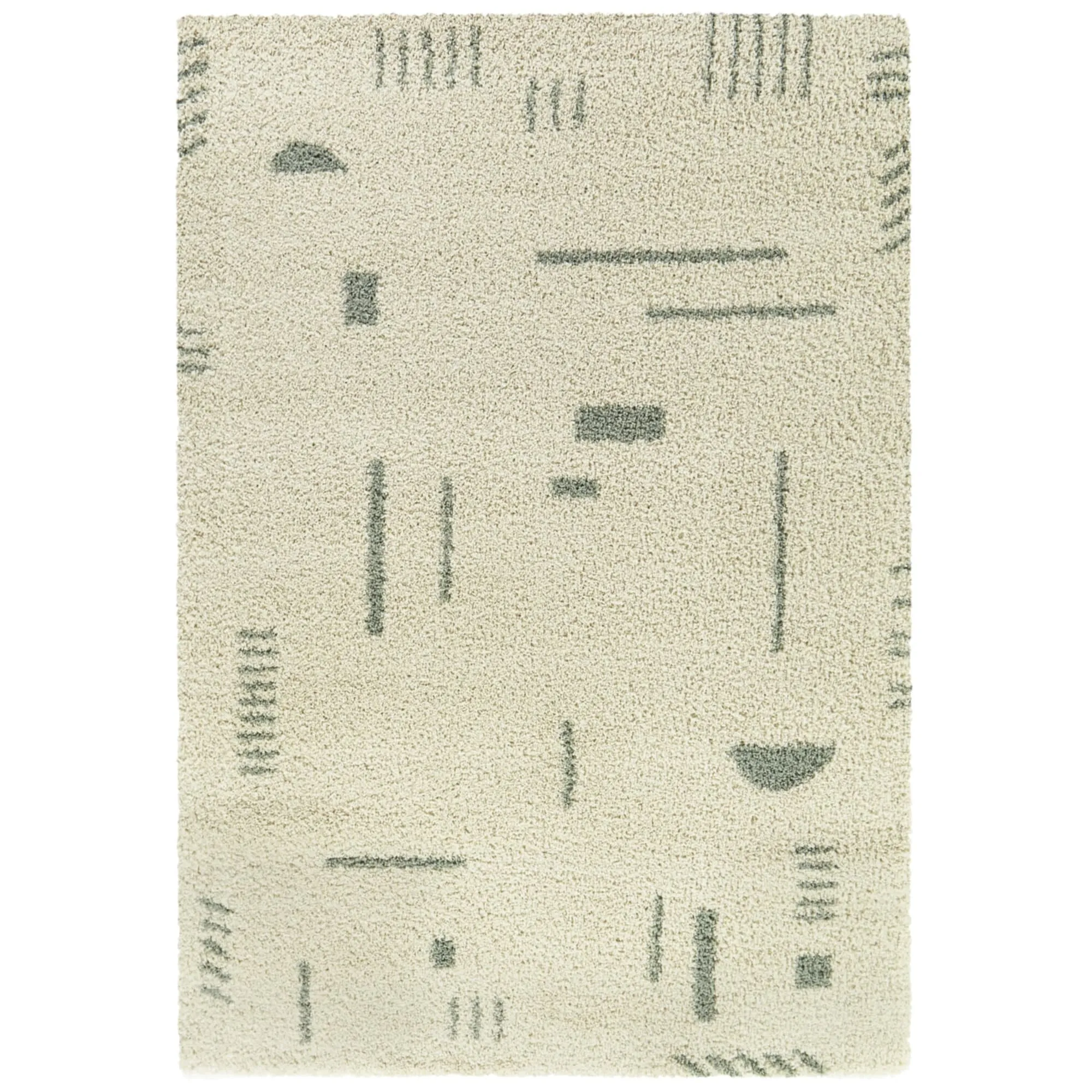 Carson Shag Area Rug