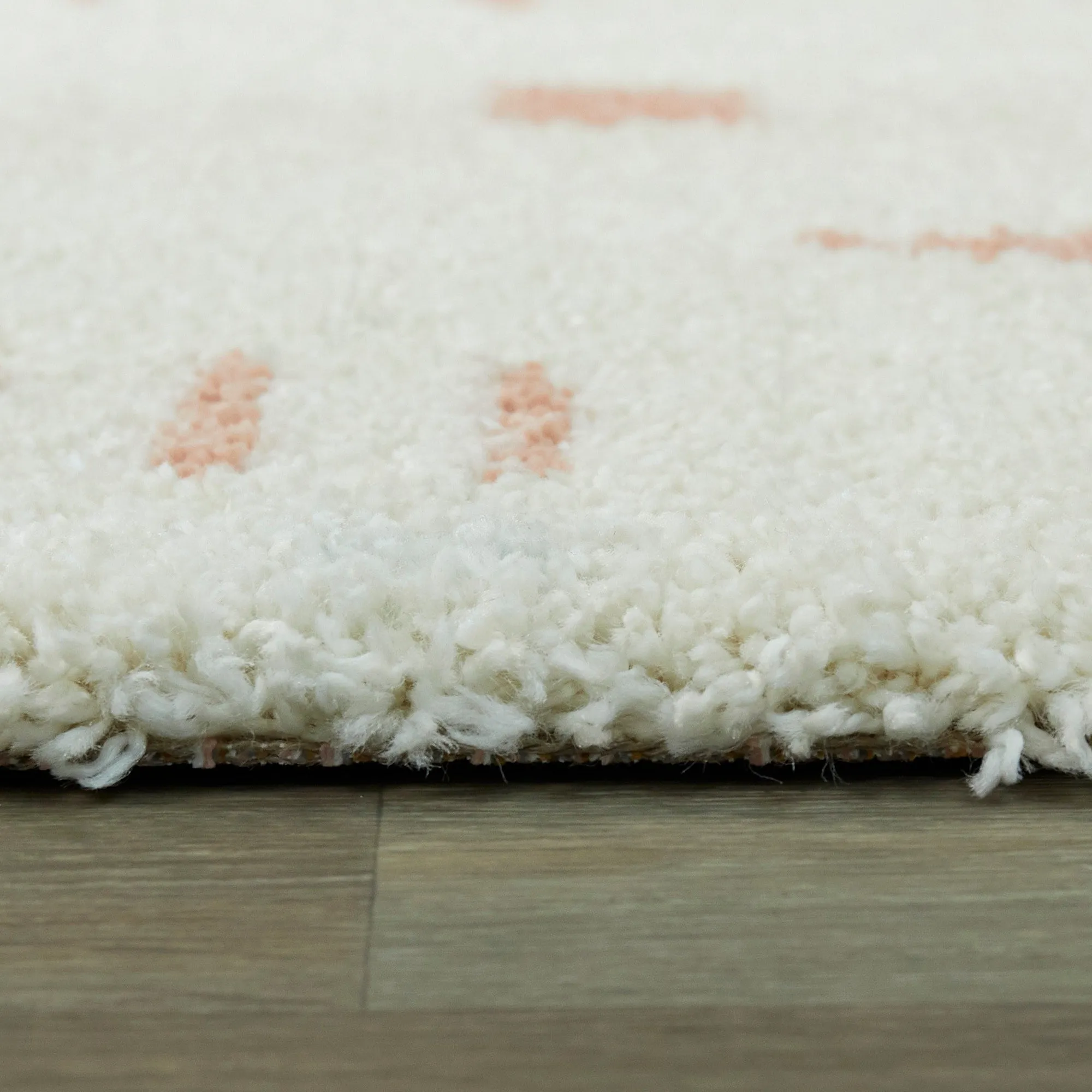Carson Shag Area Rug
