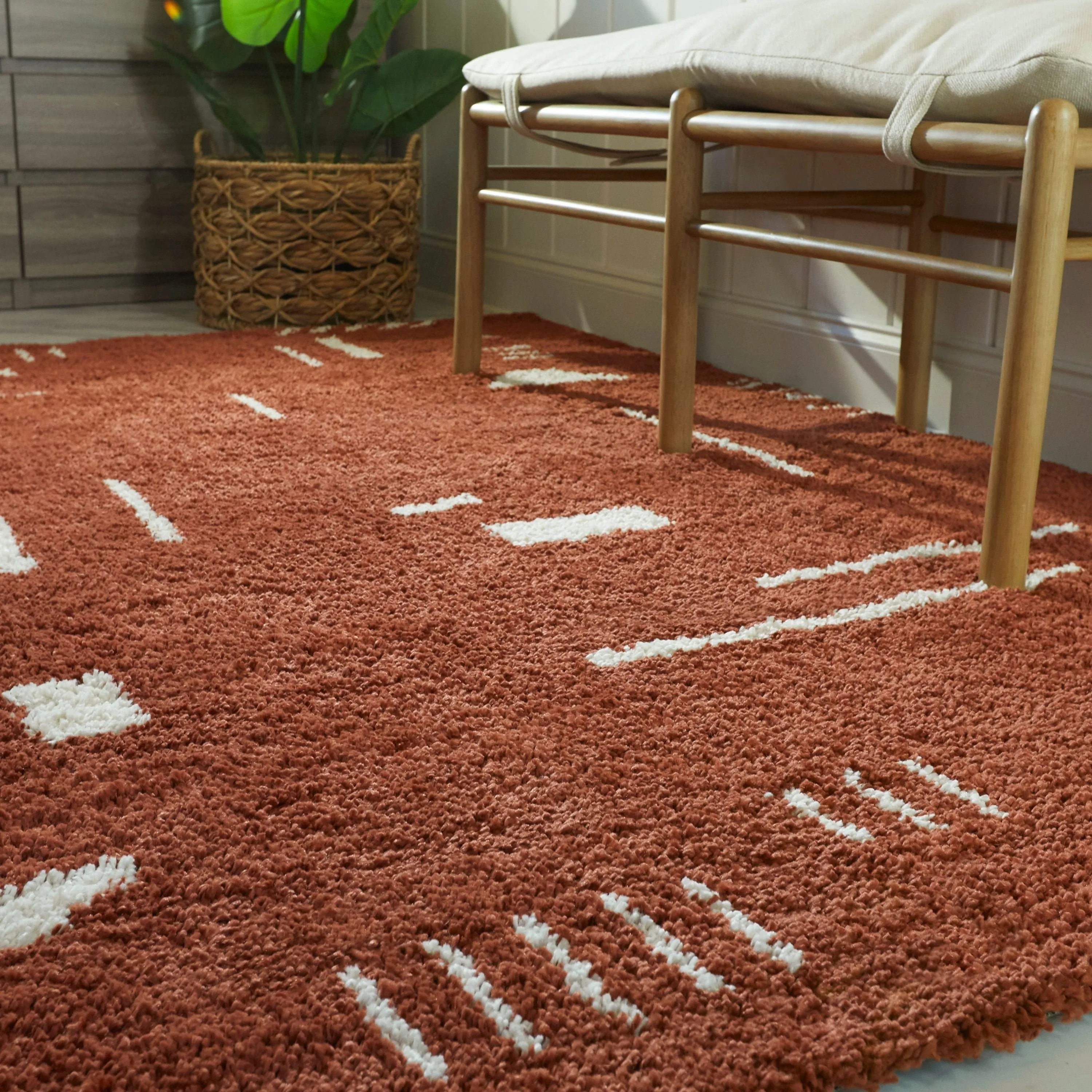 Carson Shag Area Rug