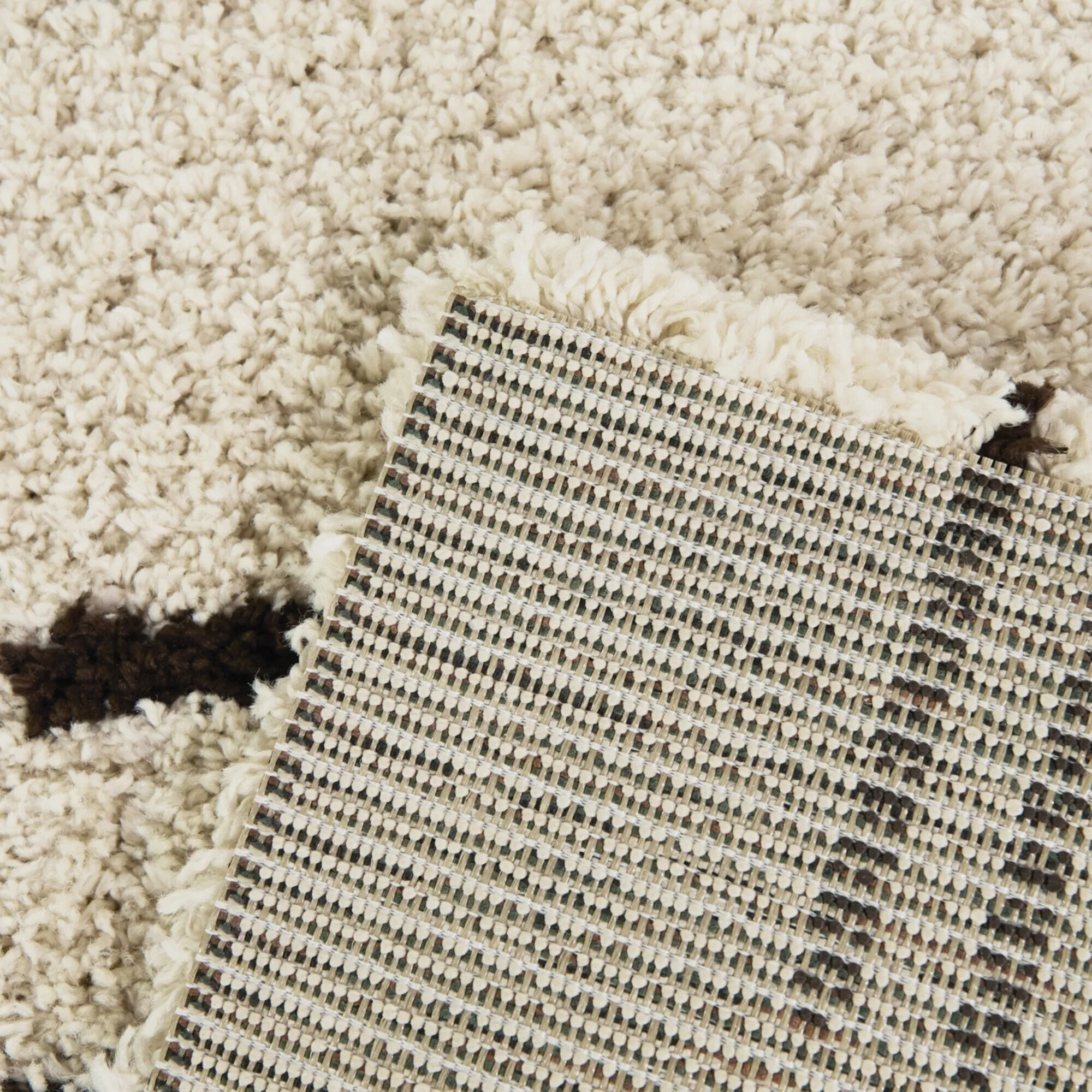 Carson Shag Area Rug