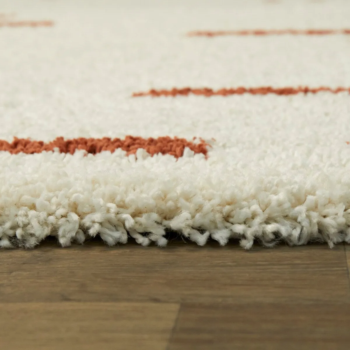 Dalmas Southwestern Stripe Shag Area Rug