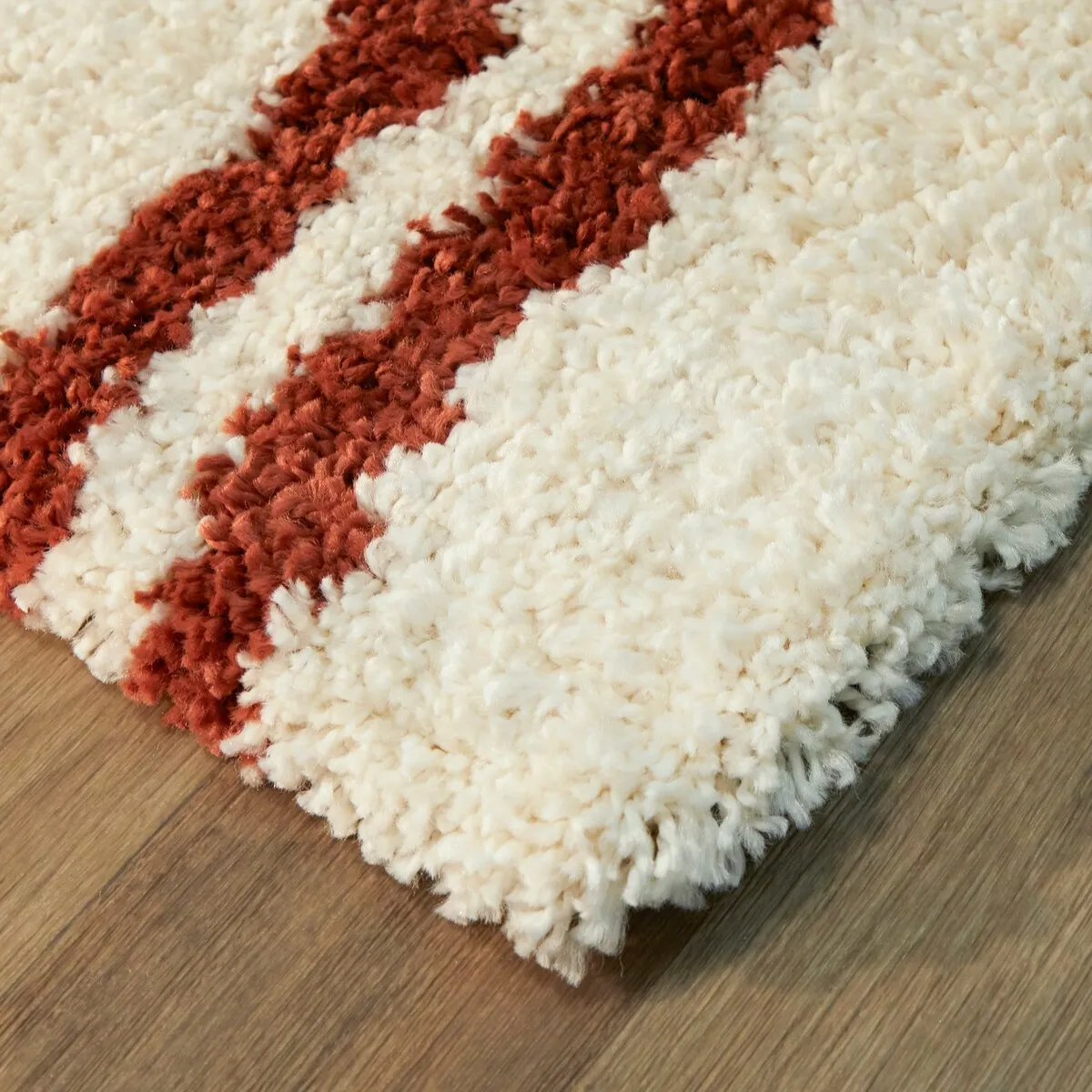 Dalmas Southwestern Stripe Shag Area Rug
