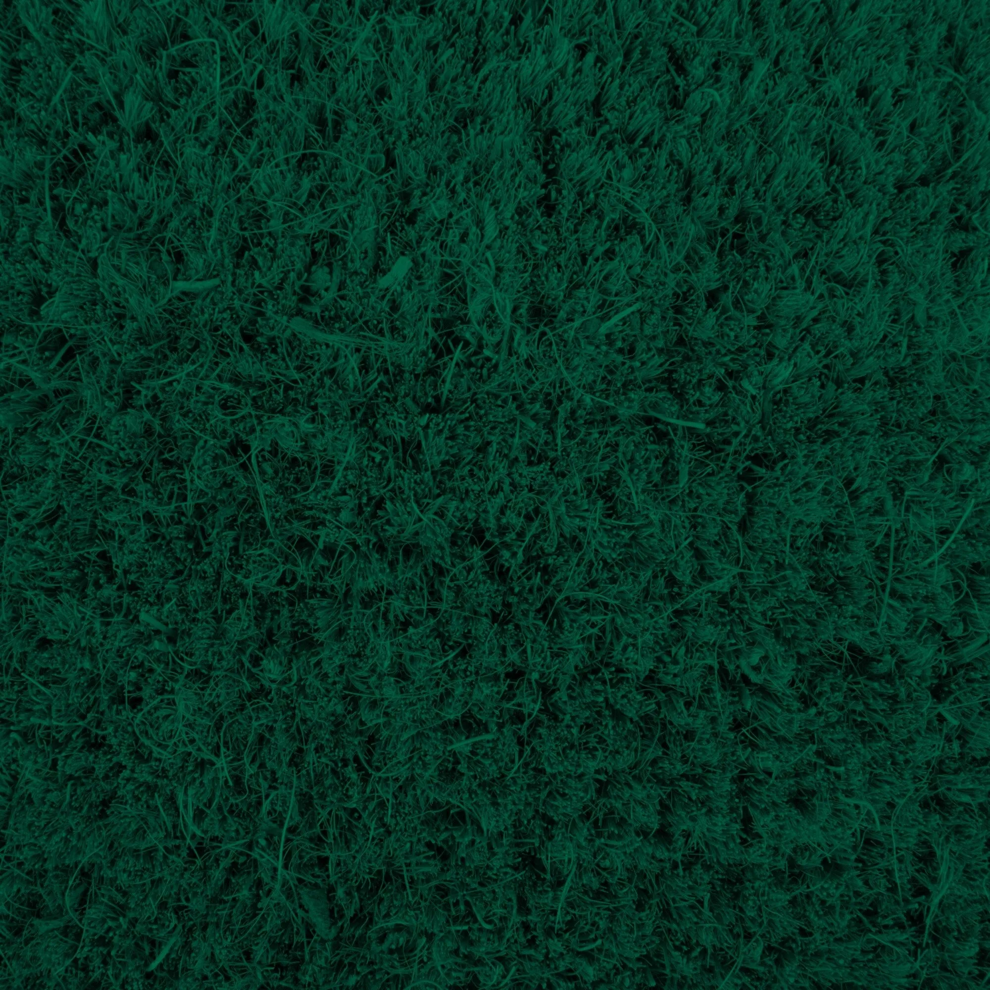 DII Christmas Holiday Doormat