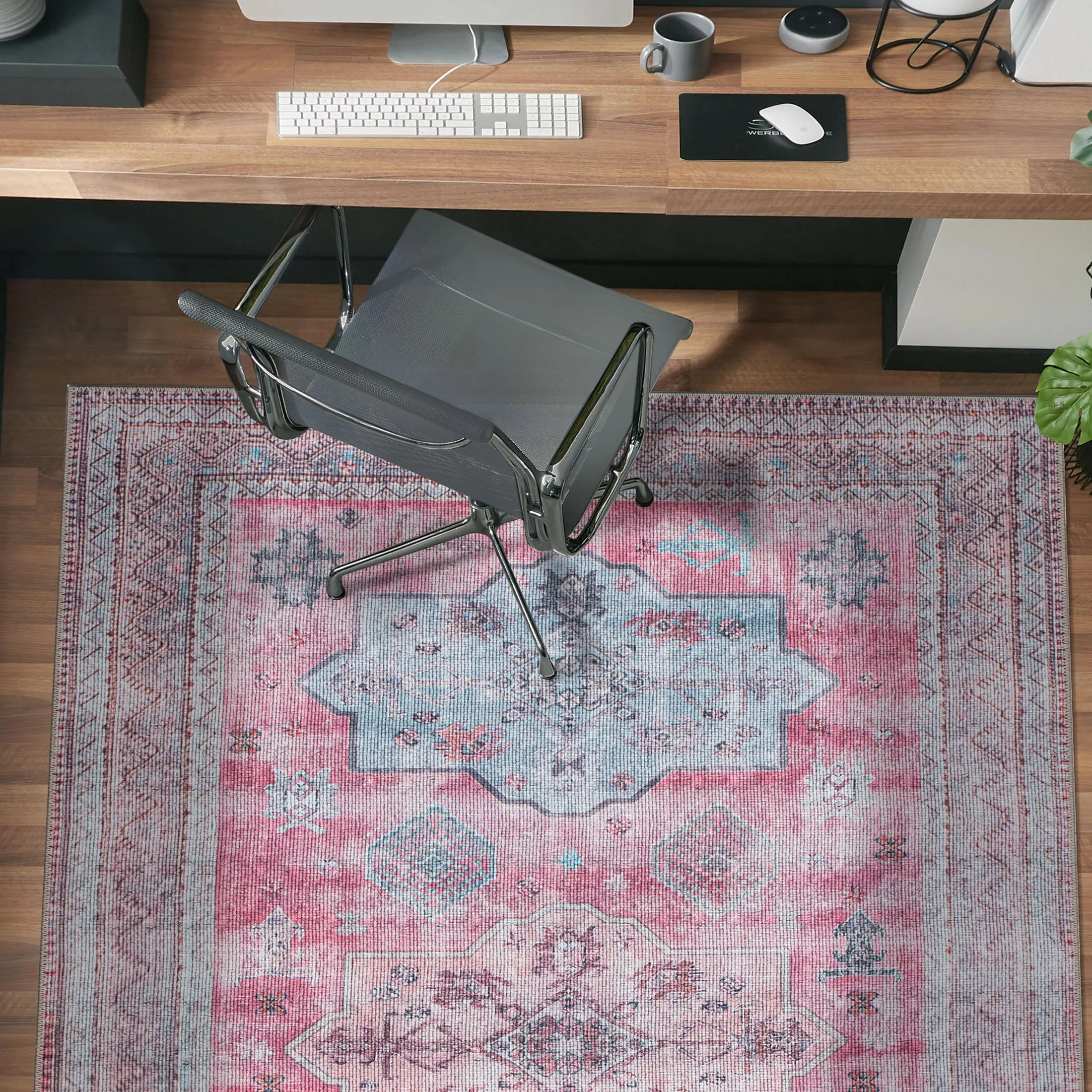 Distressed Transitional Bohemian Area Rug