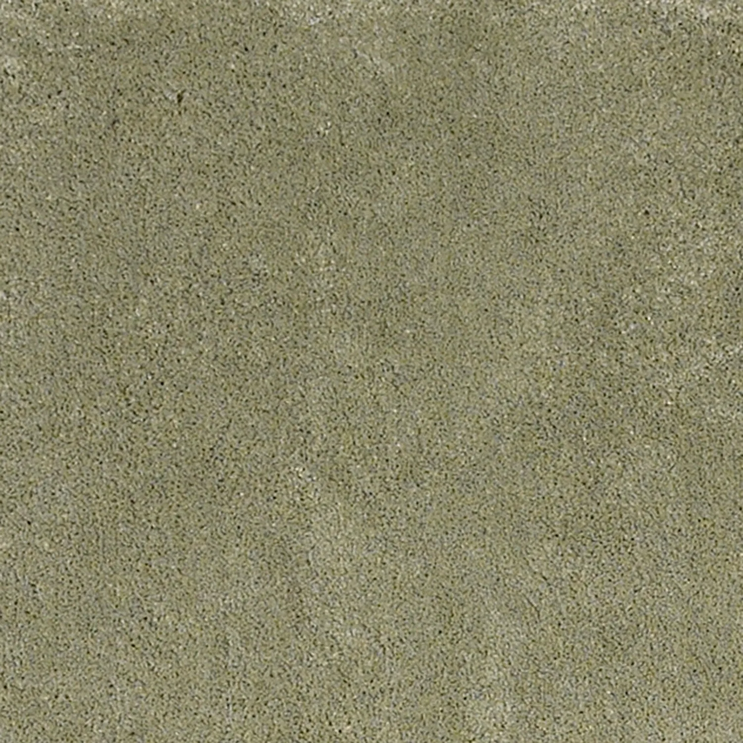 Domani Euphoria Plush Solid Sage Hand-Woven Shag Rug