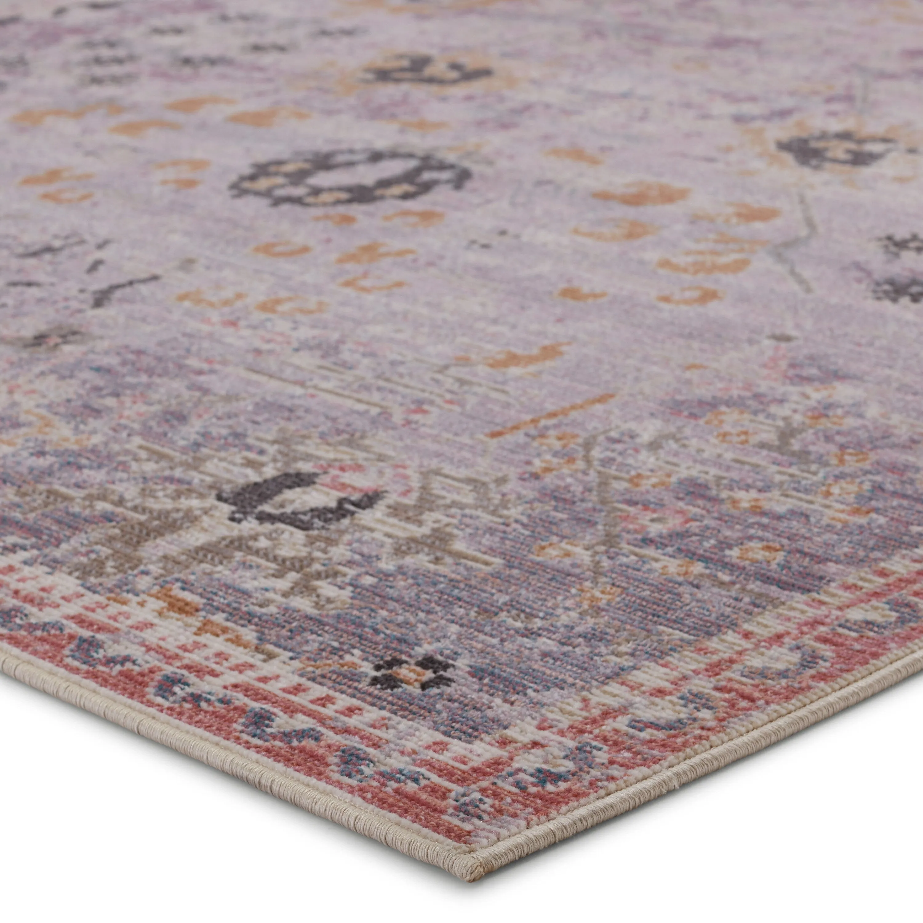 Elva Indoor/ Outdoor Oriental Area Rug