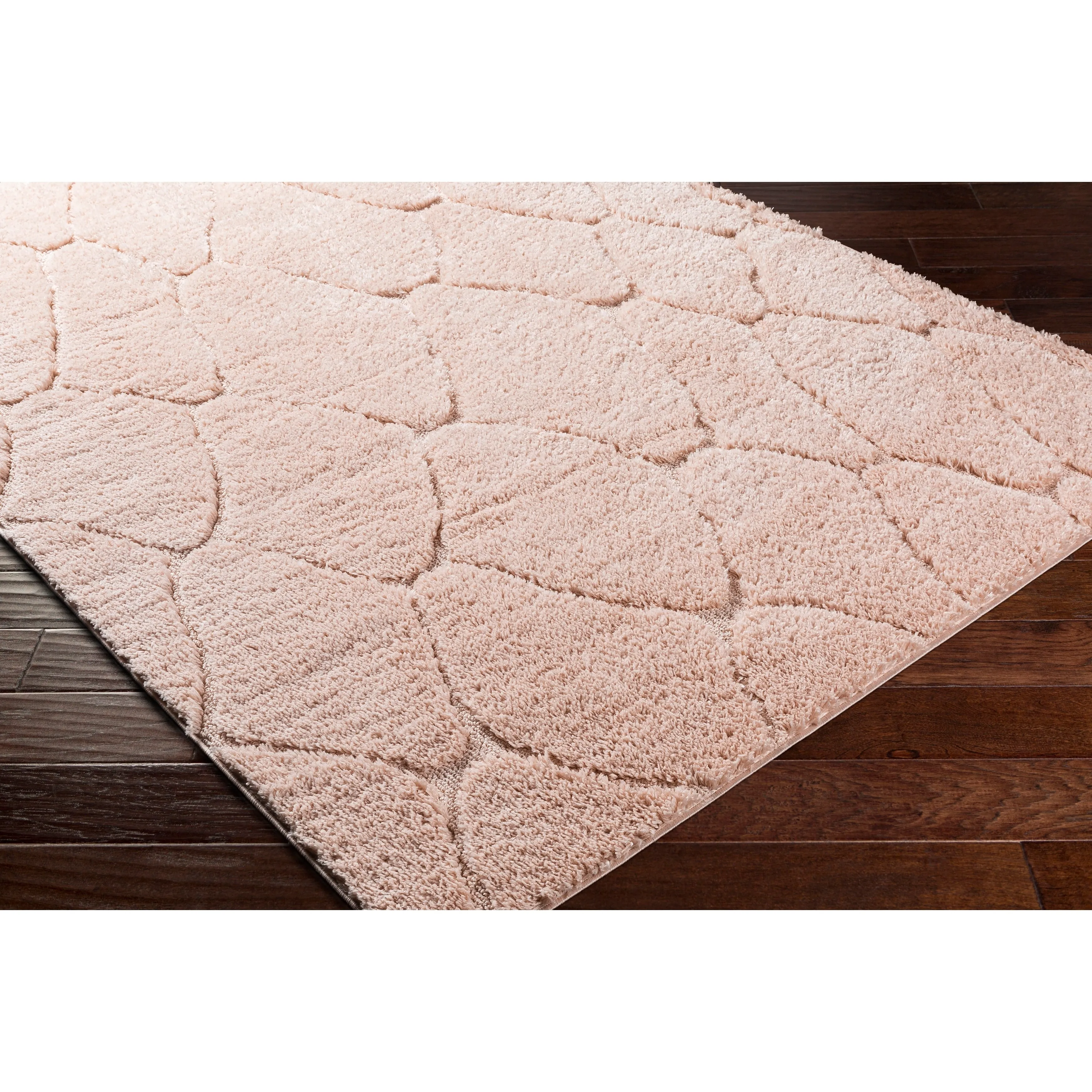 Ephrem Trellis Diamond Plush Area Rug
