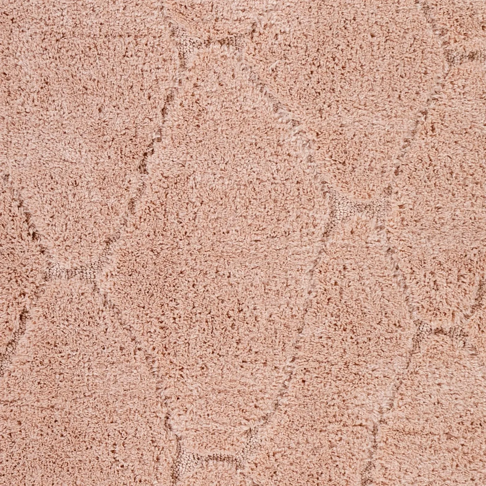 Ephrem Trellis Diamond Plush Area Rug