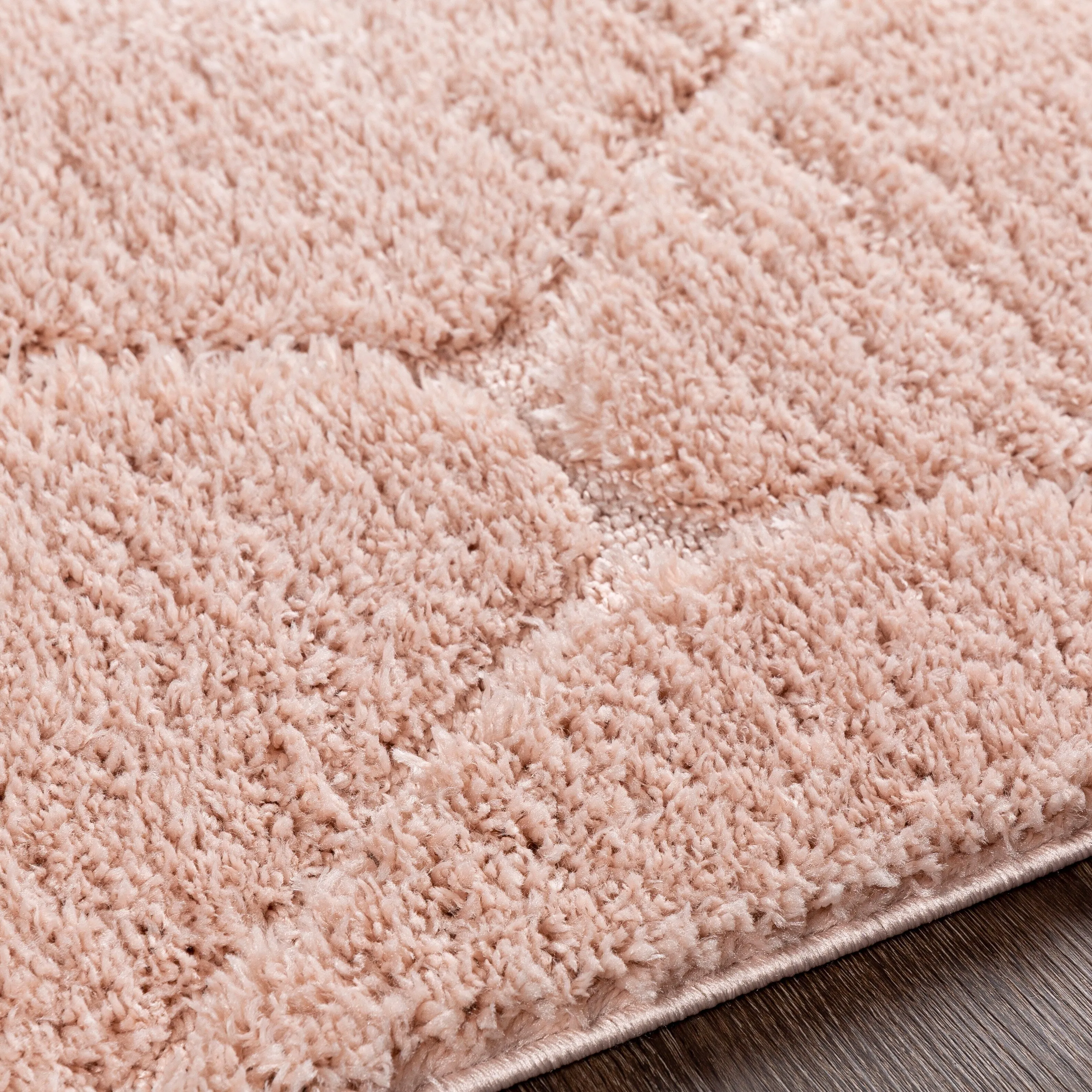 Ephrem Trellis Diamond Plush Area Rug
