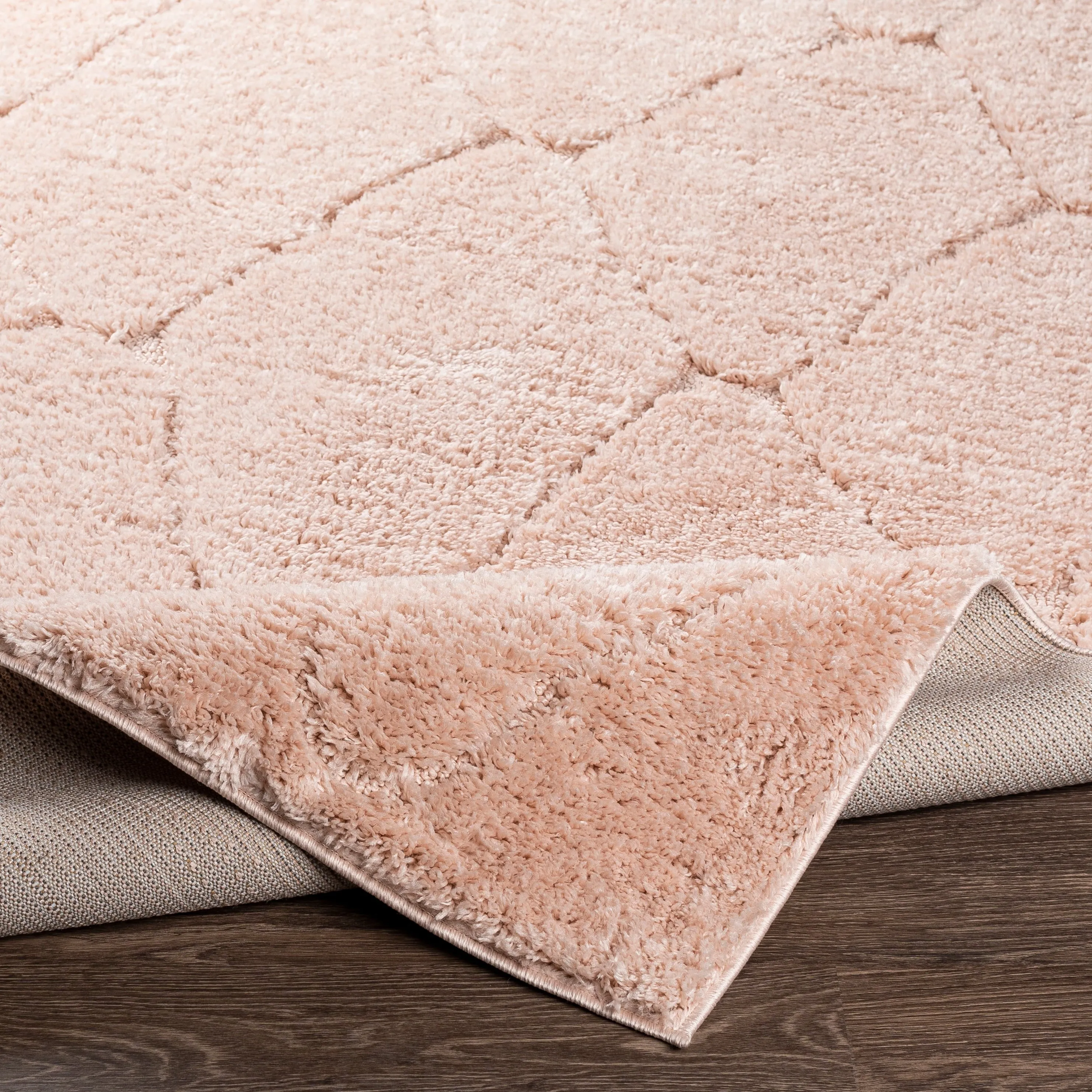 Ephrem Trellis Diamond Plush Area Rug